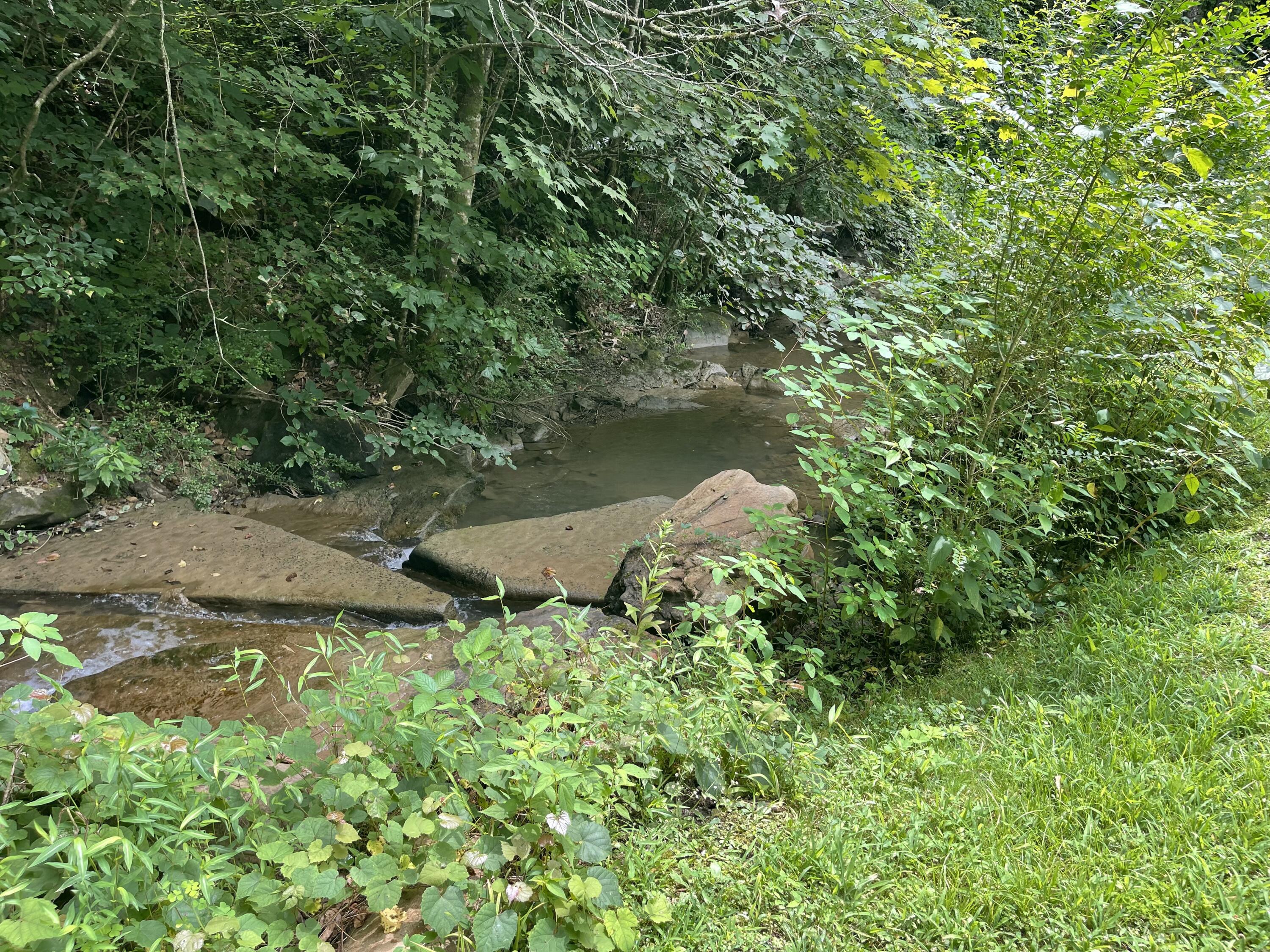 238 Coal Stone Branch Road Property Photo 13