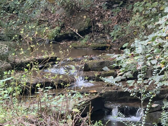238 Coal Stone Branch Road Property Photo 19