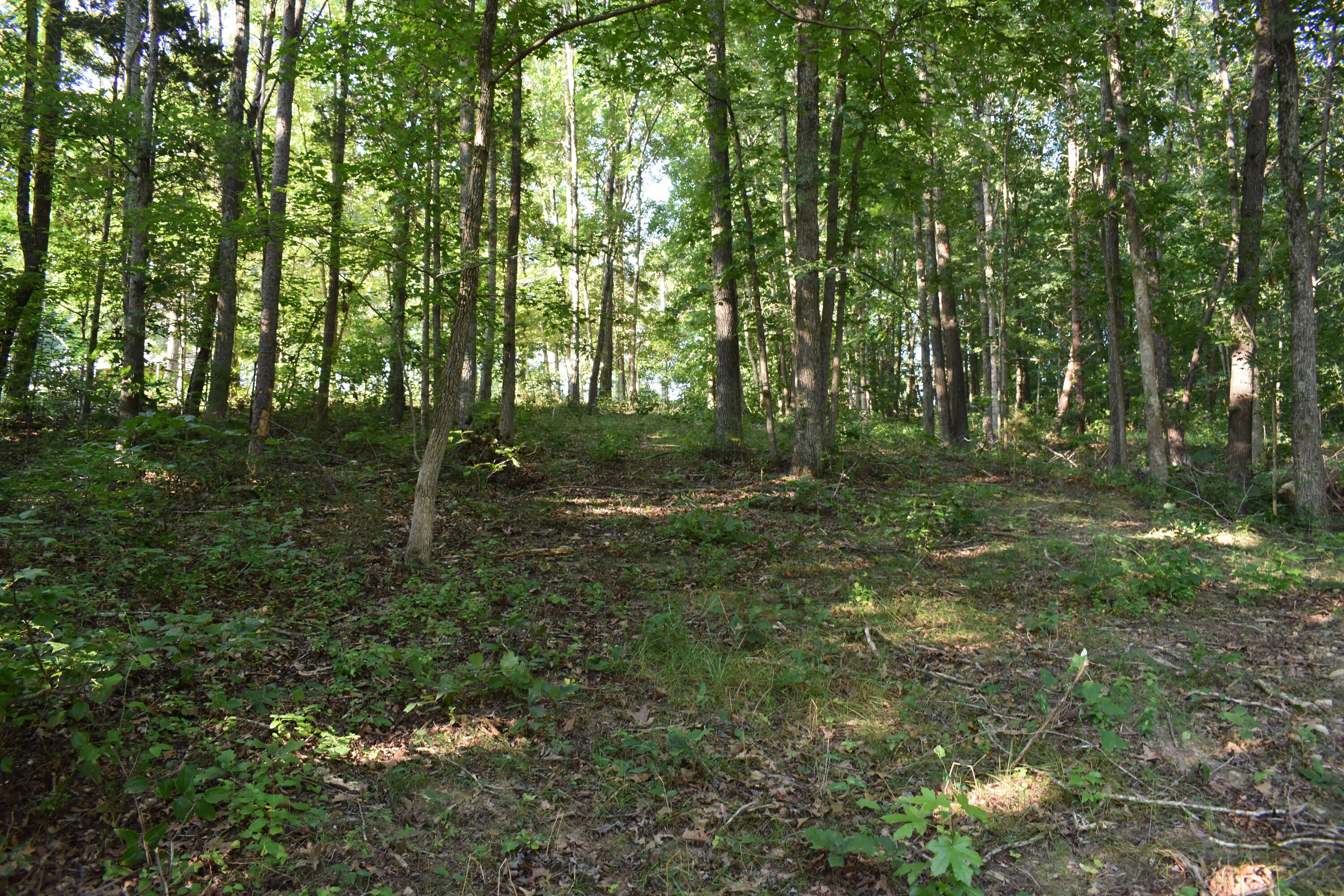 1040 Kentucky 801 Property Photo 15