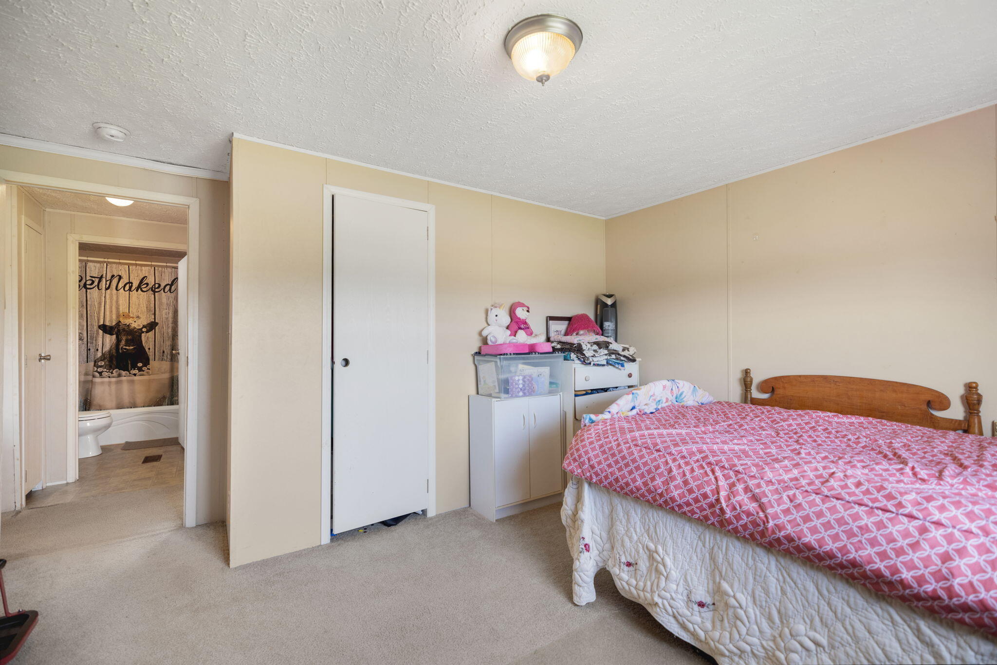 26019877 Property Photo 27