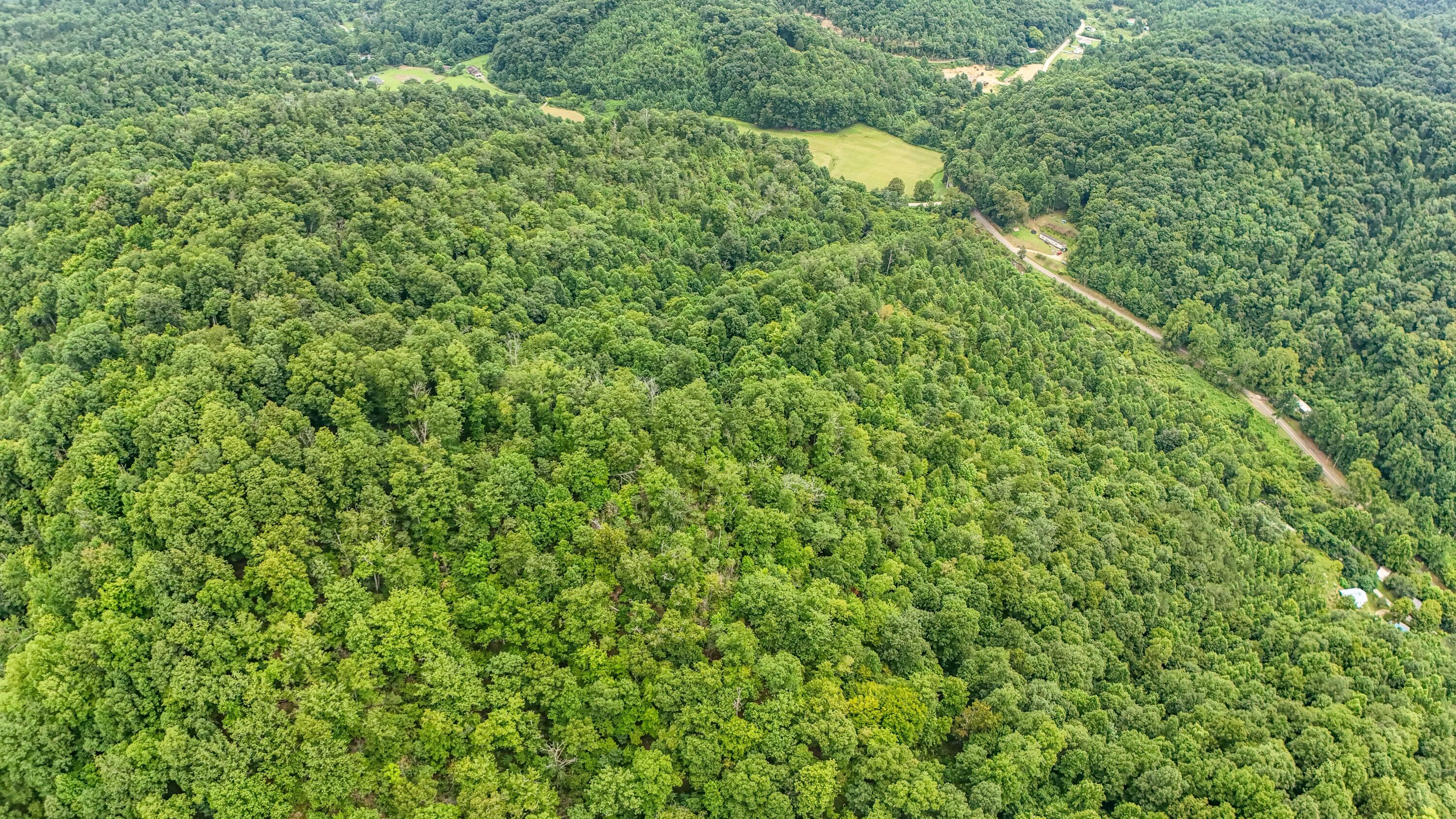 9999 State Hwy 223 Property Photo 4
