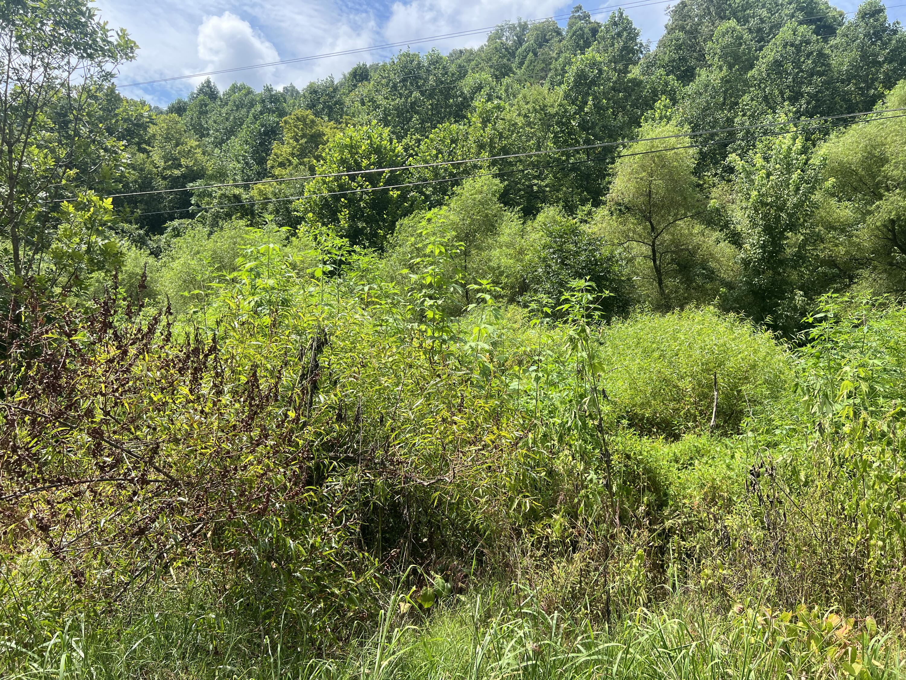 9999 State Hwy 223 Property Photo 12