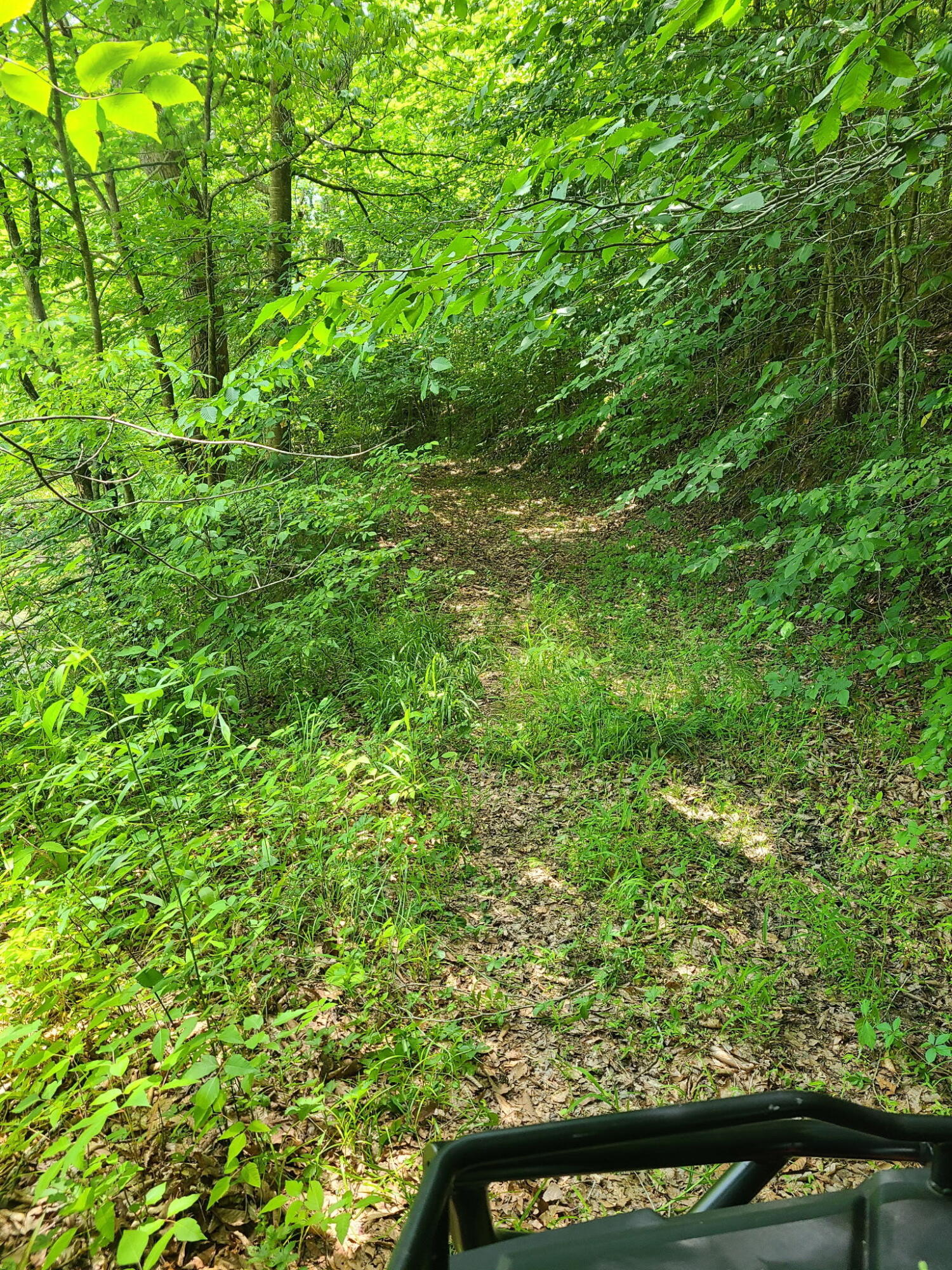 9999 State Hwy 223 Property Photo 15
