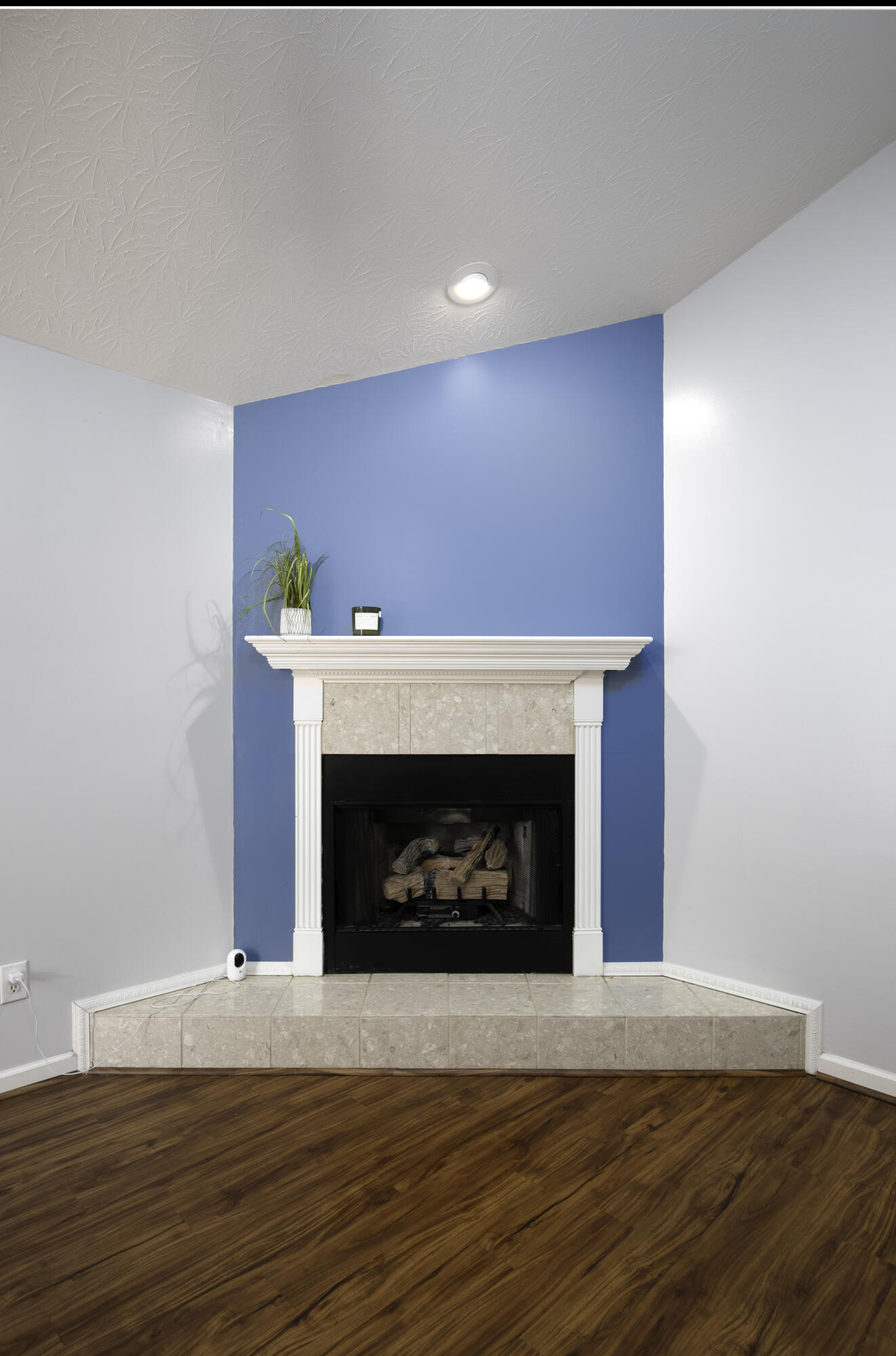 1140 Mountain Laurel Way Property Photo 6
