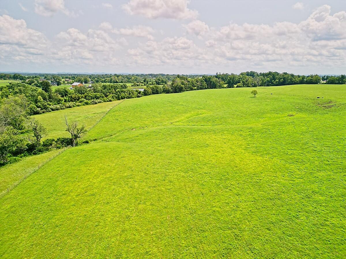Tract 3 B-8 Four Mile Road Property Photo 4