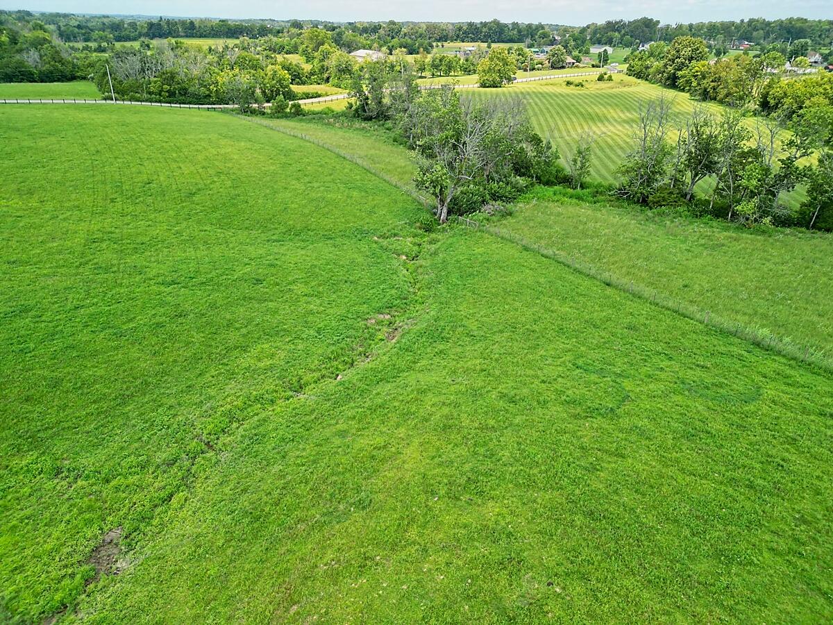 Tract 3 B-8 Four Mile Road Property Photo 8