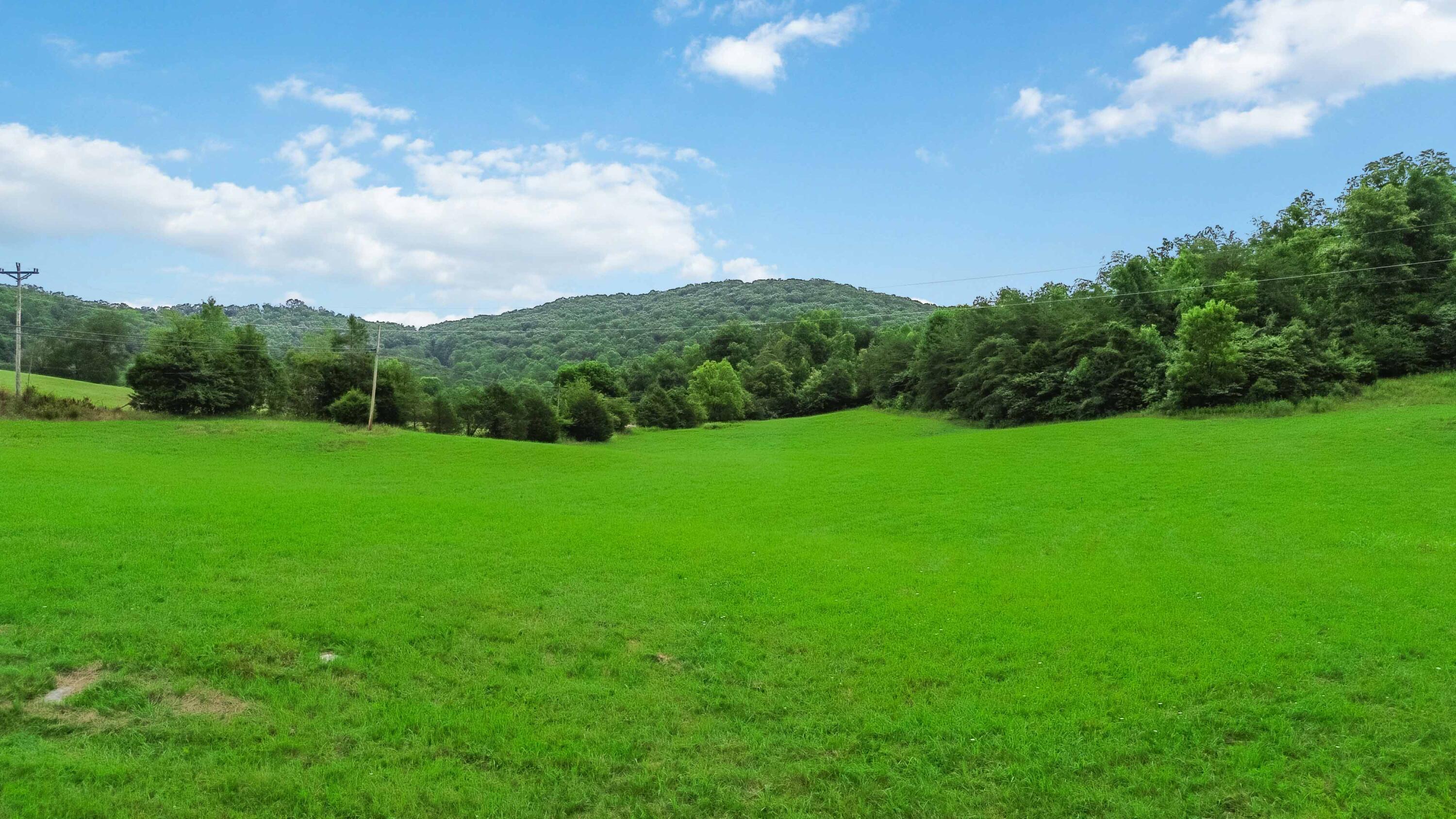 1651 Highway 1643 Property Photo 60