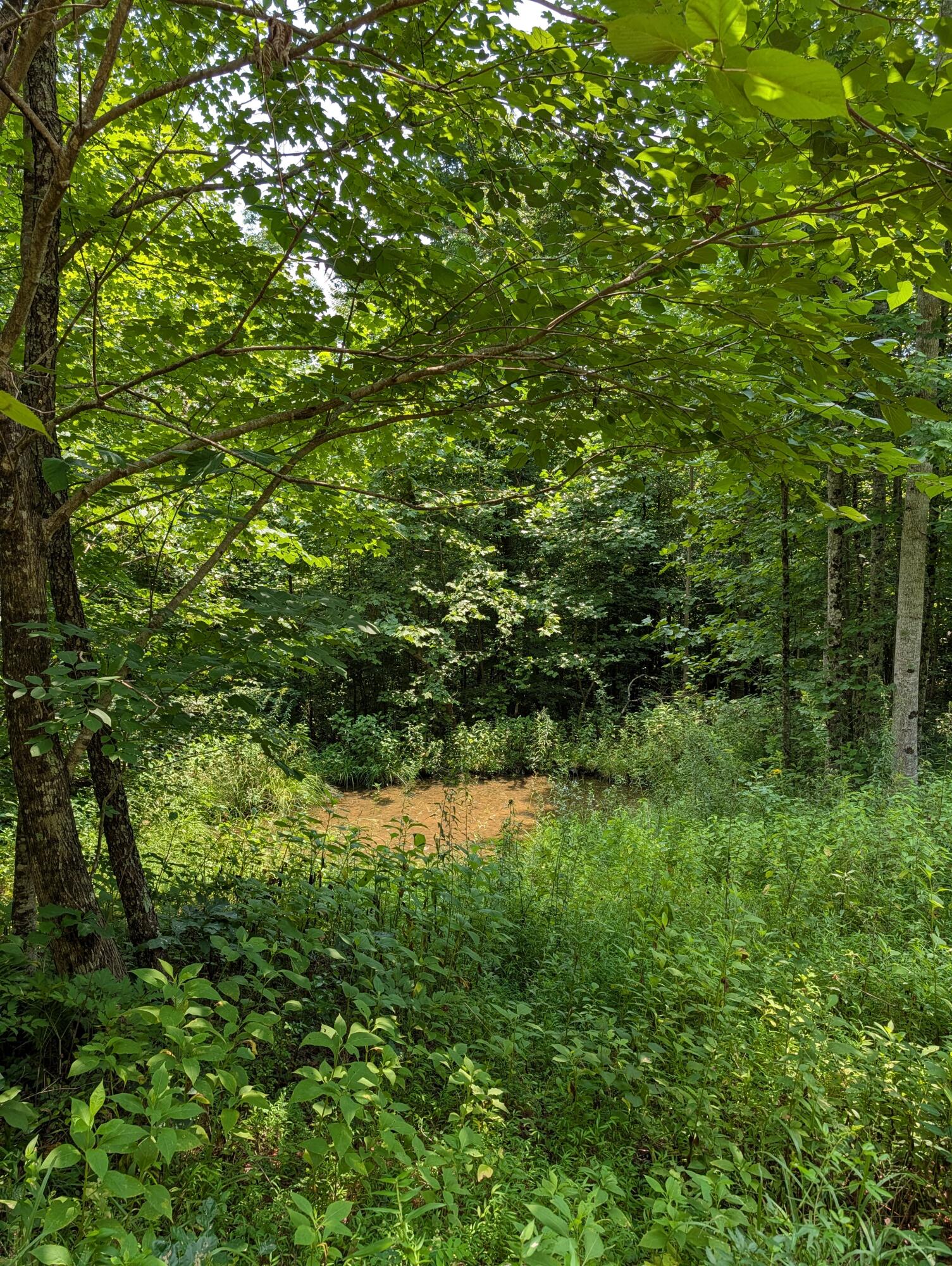 1651 Highway 1643 Property Photo 81
