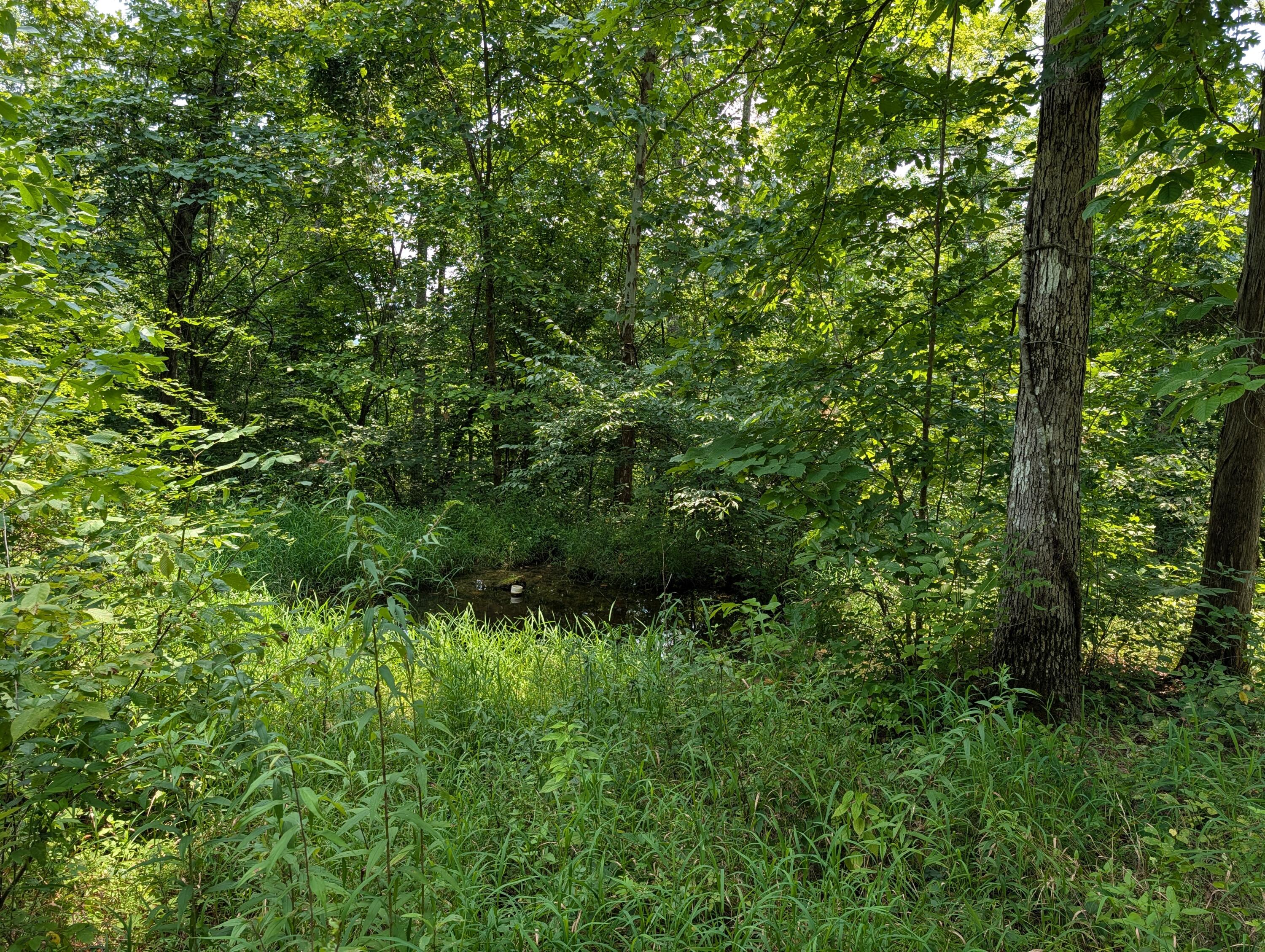 1651 Highway 1643 Property Photo 82
