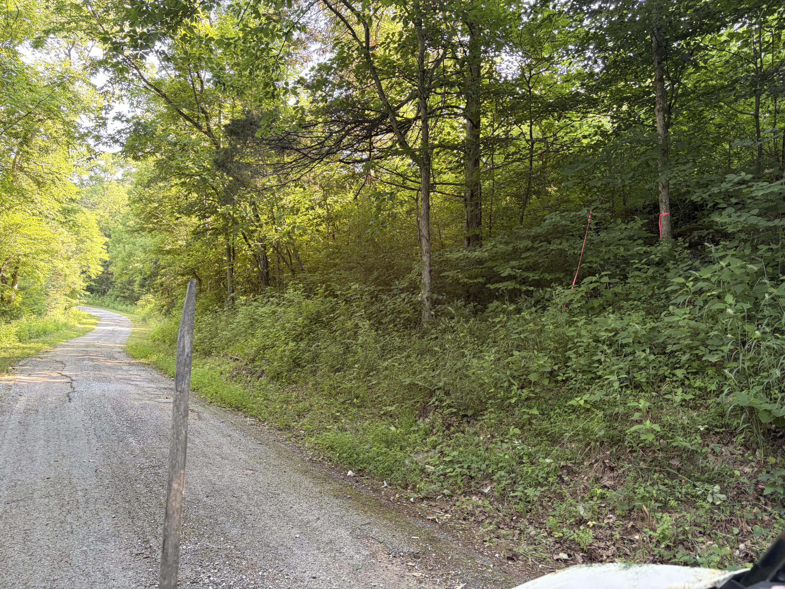 1651 Highway 1643 Property Photo 88