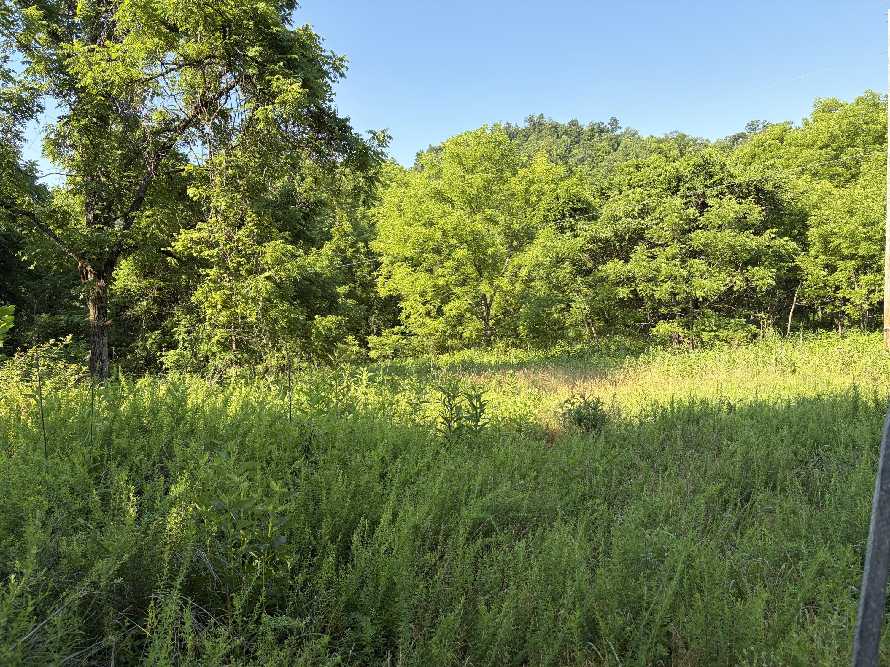 1651 Highway 1643 Property Photo 90