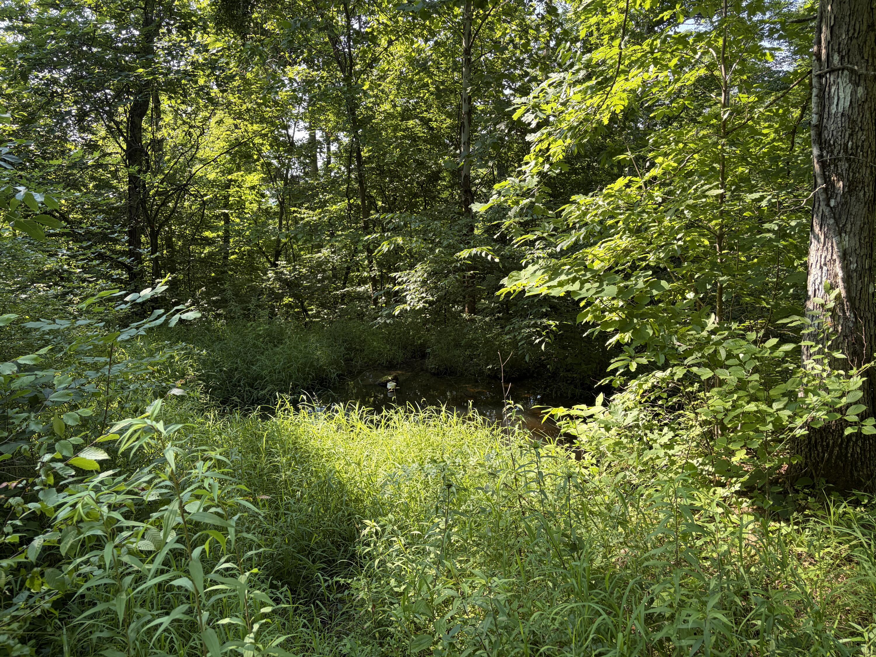 1651 Highway 1643 Property Photo 93
