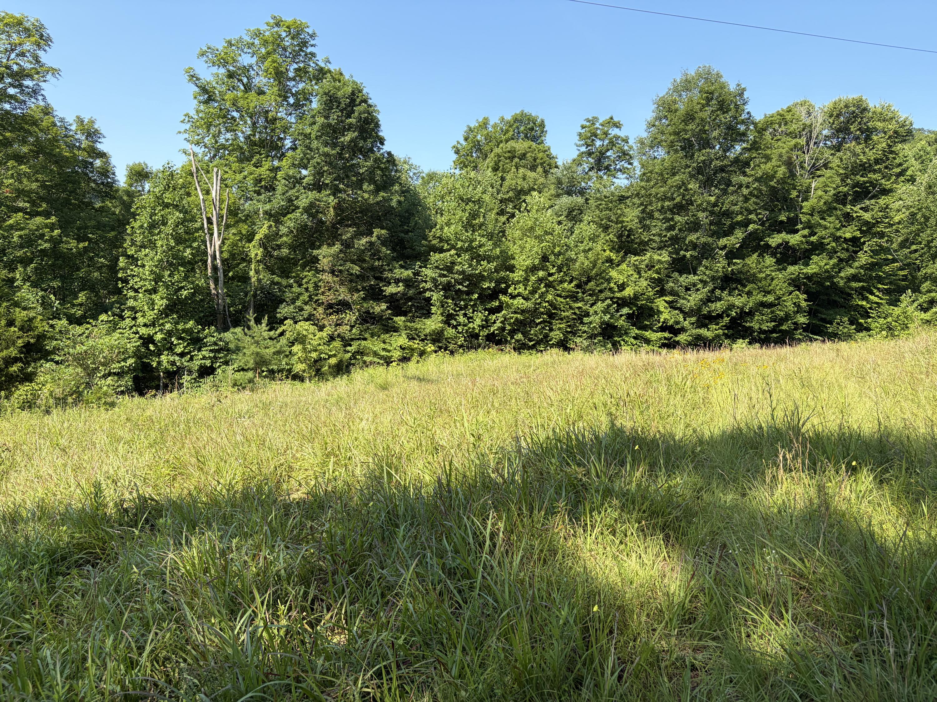 1651 Highway 1643 Property Photo 94