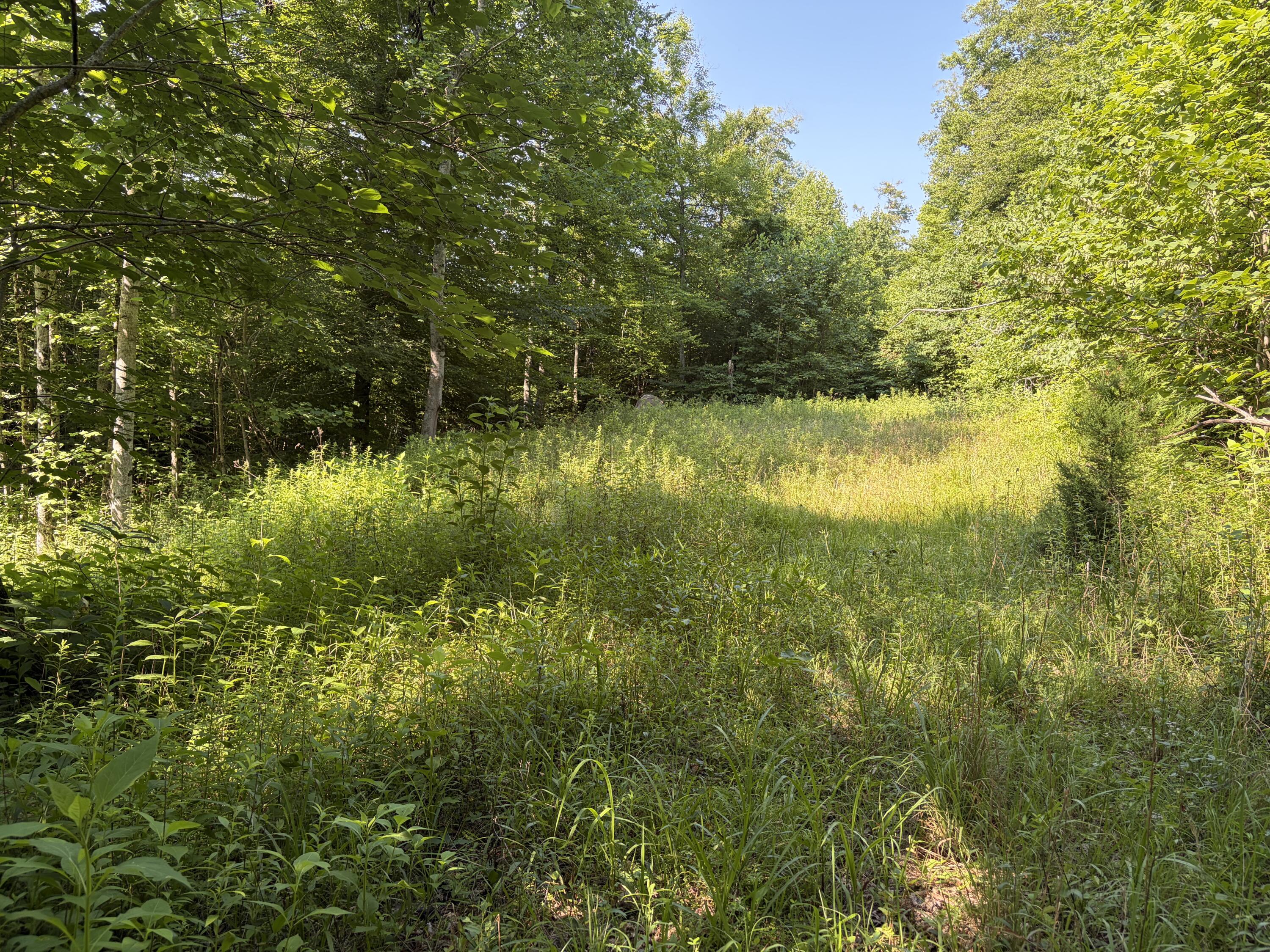 1651 Highway 1643 Property Photo 95