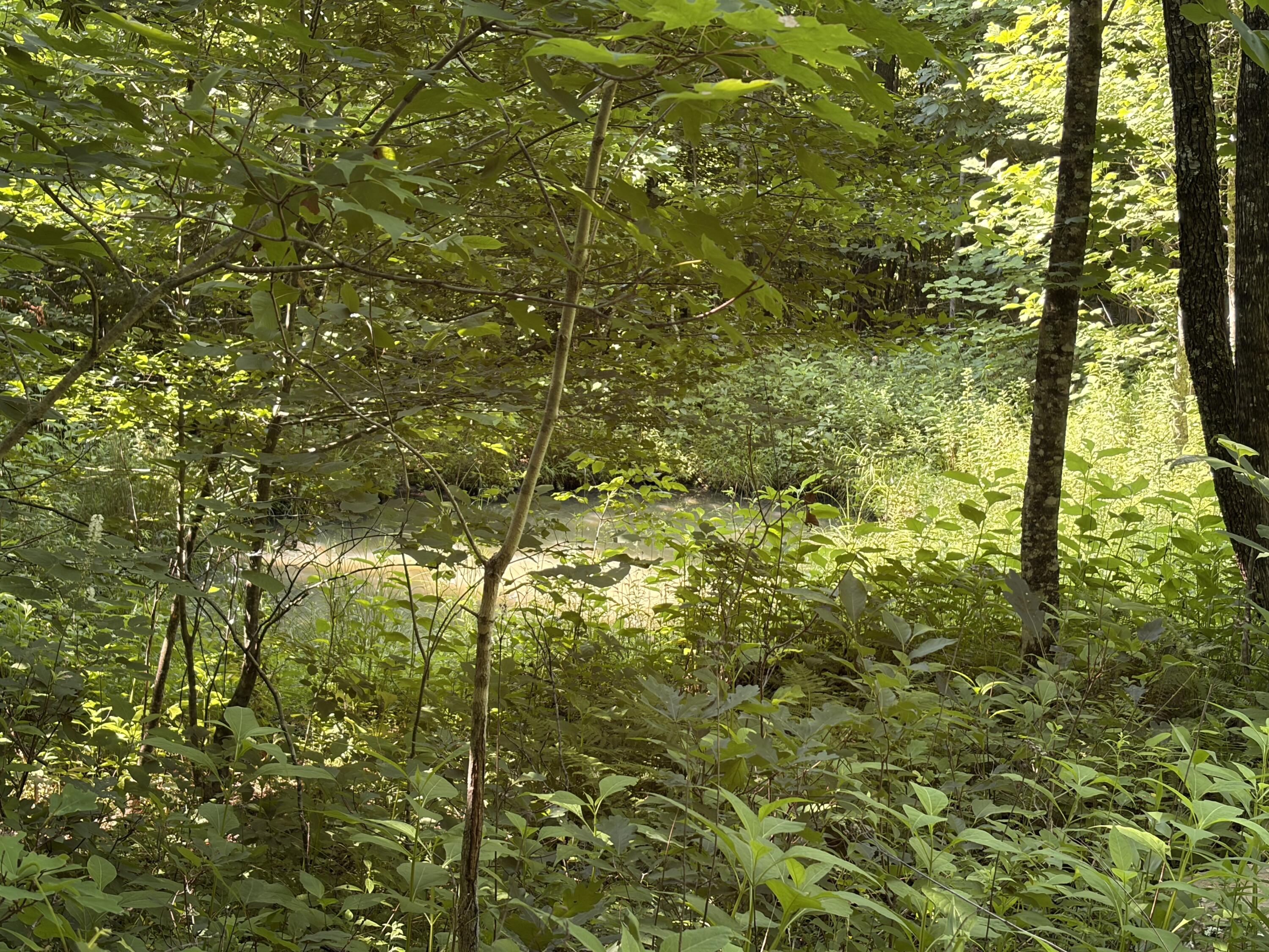 1651 Highway 1643 Property Photo 96