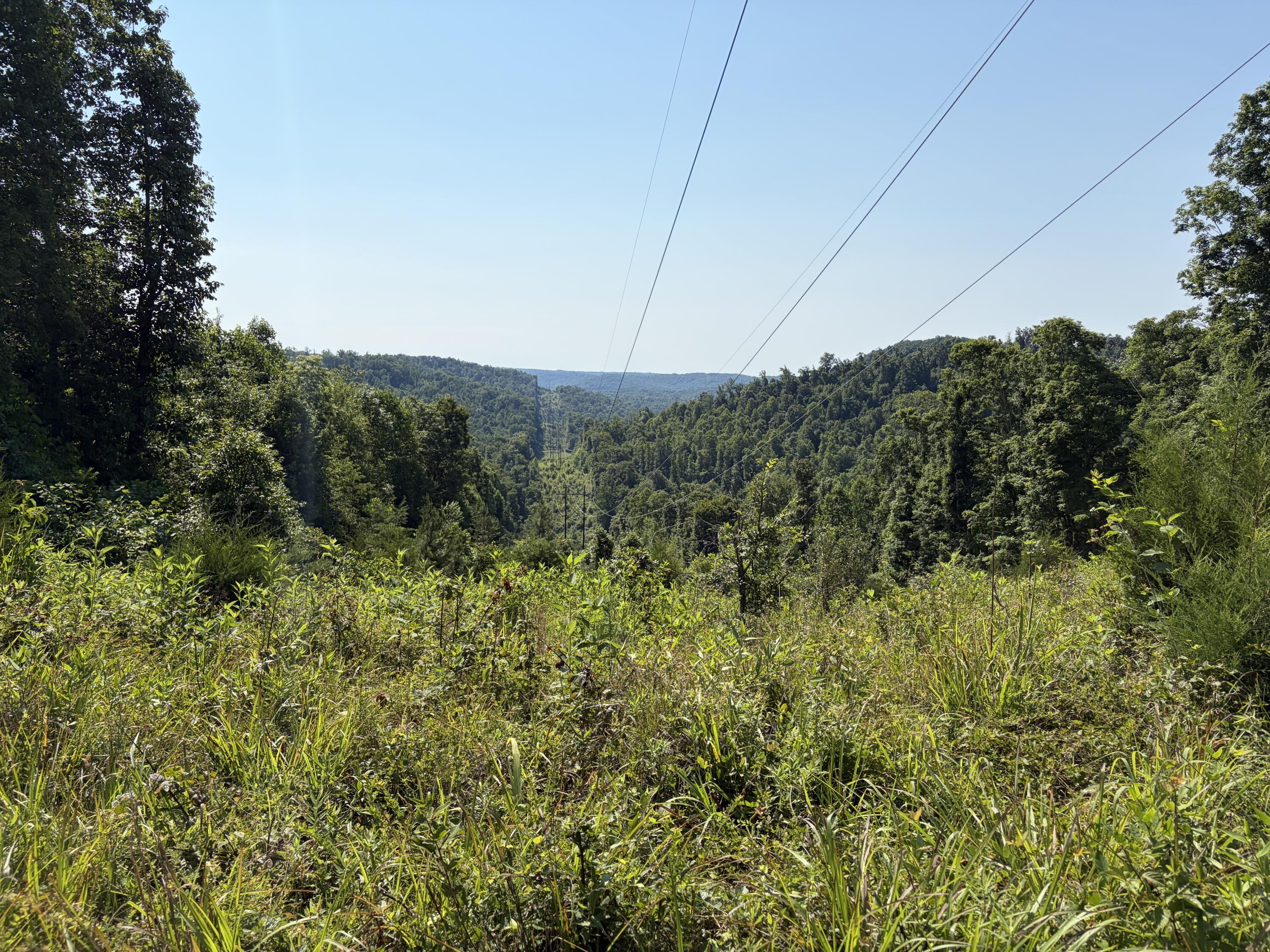 1651 Highway 1643 Property Photo 98