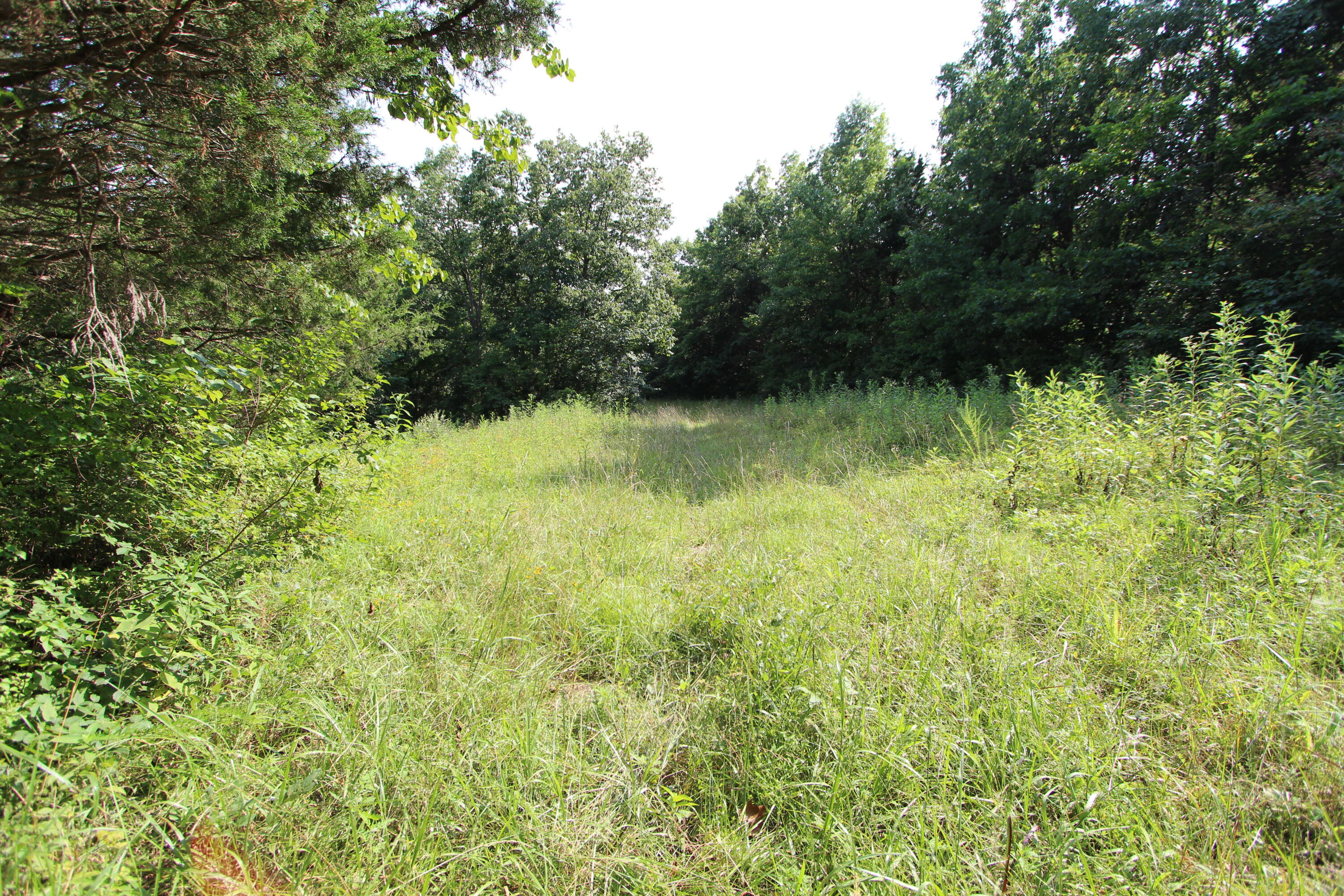 295 Saint Johns Road Property Photo 22
