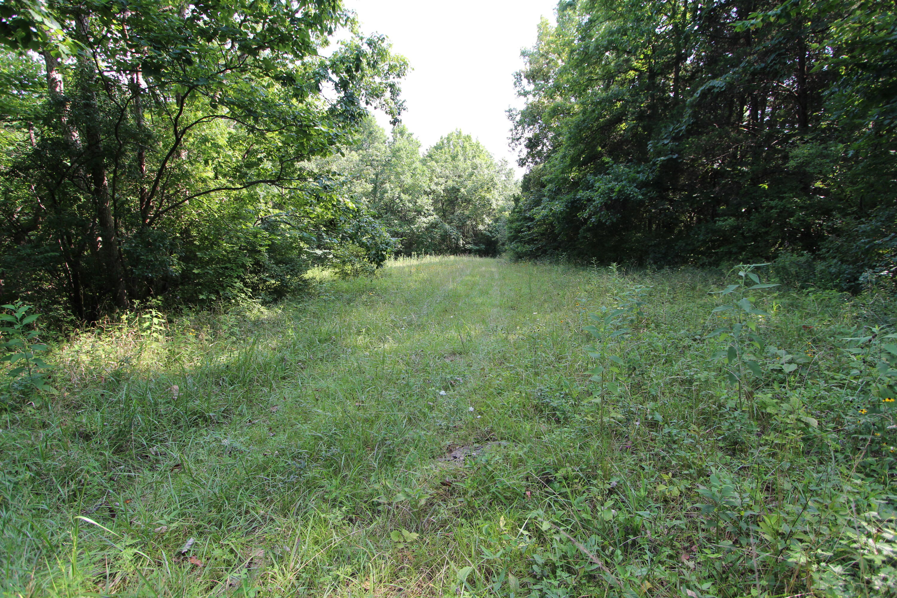 295 Saint Johns Road Property Photo 23