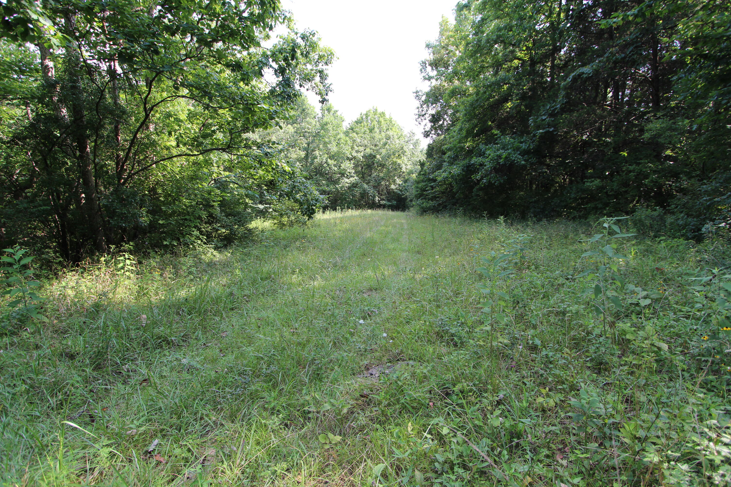 295 Saint Johns Road Property Photo 24