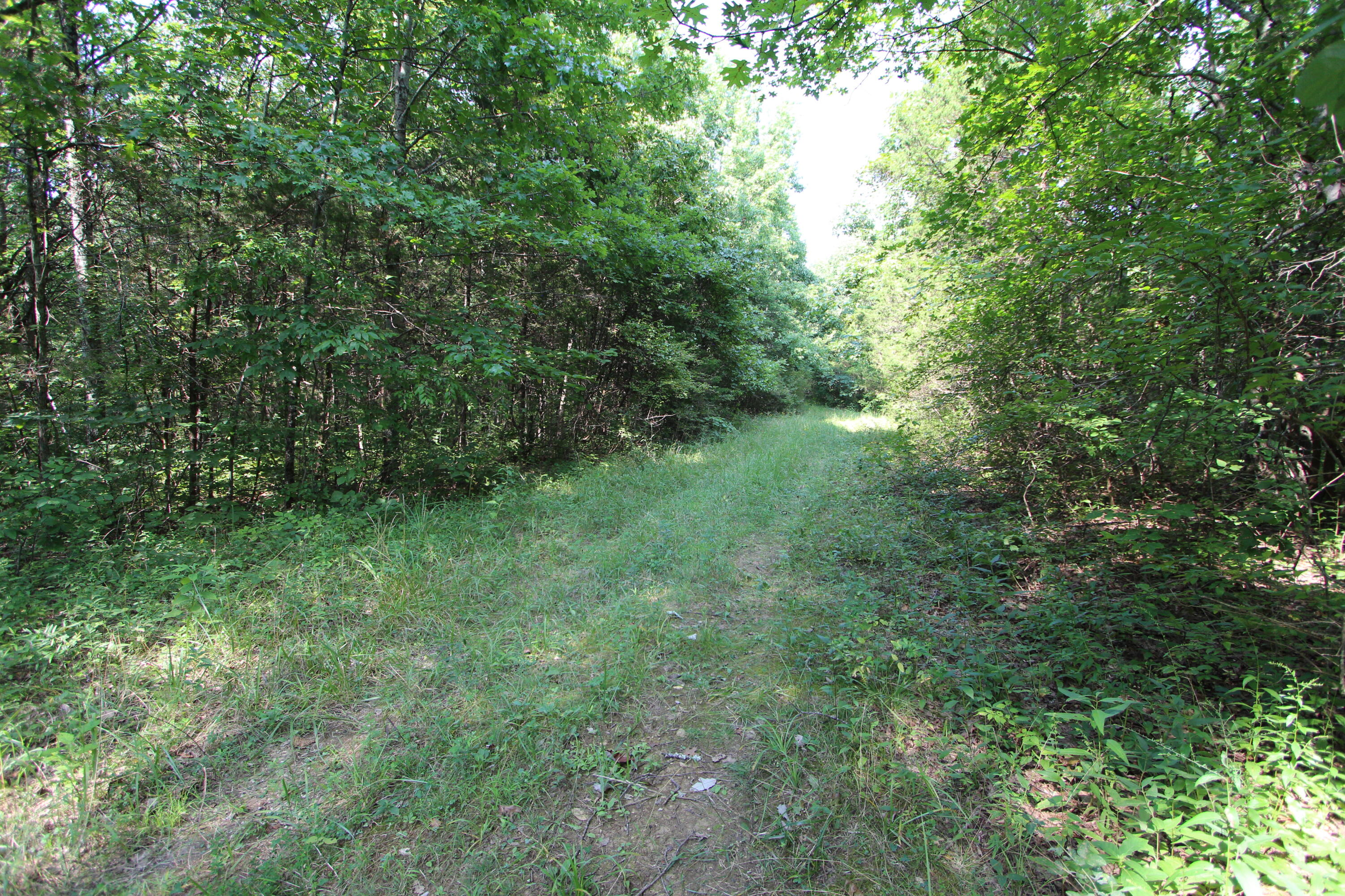 295 Saint Johns Road Property Photo 26