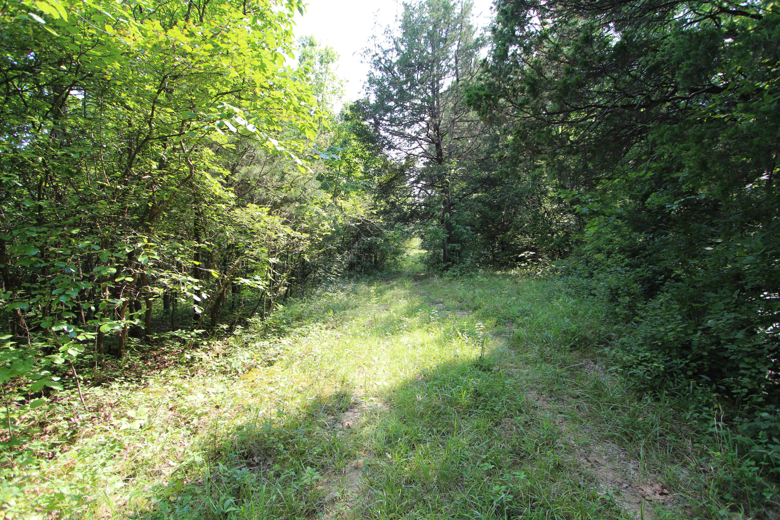 295 Saint Johns Road Property Photo 28