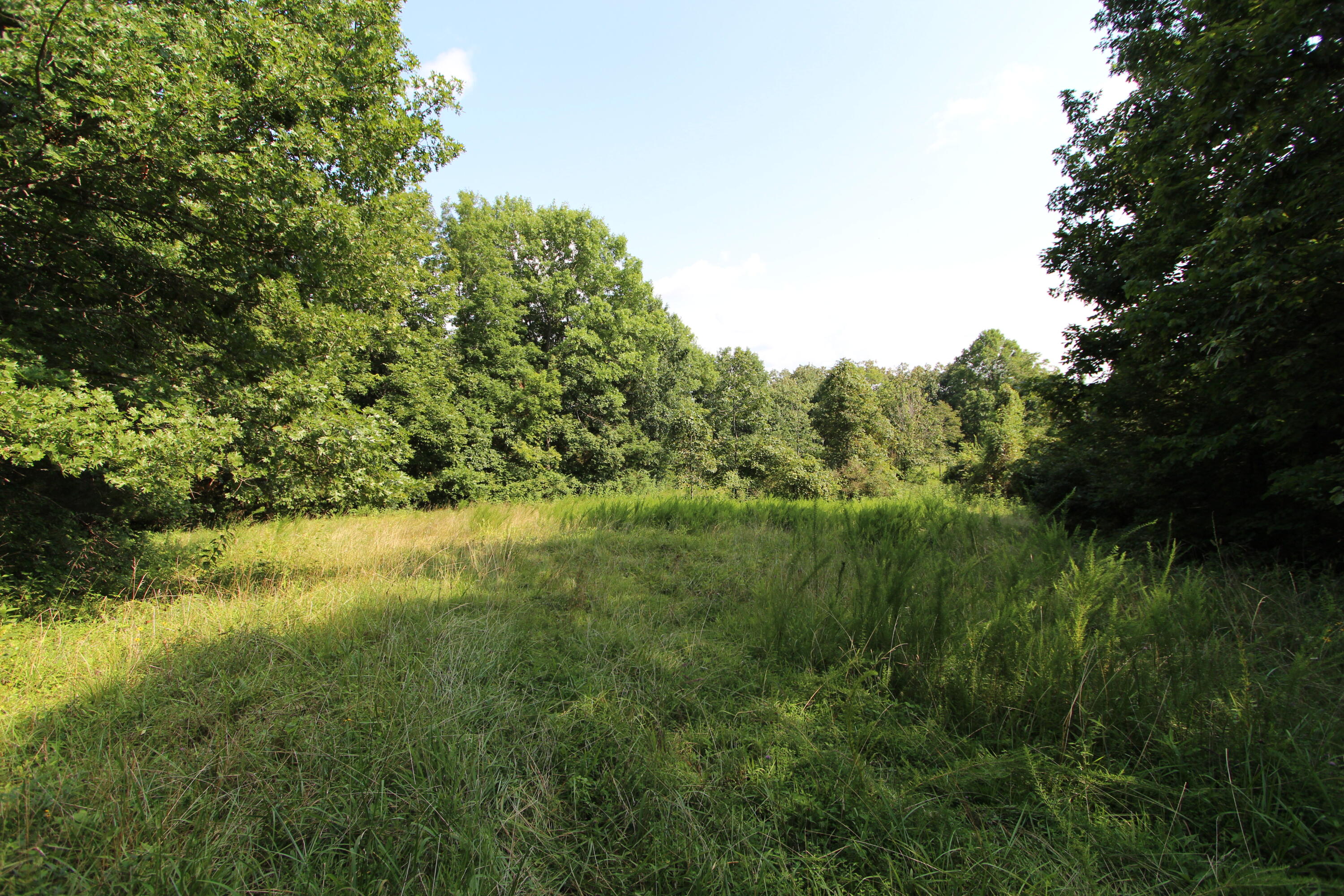 295 Saint Johns Road Property Photo 29