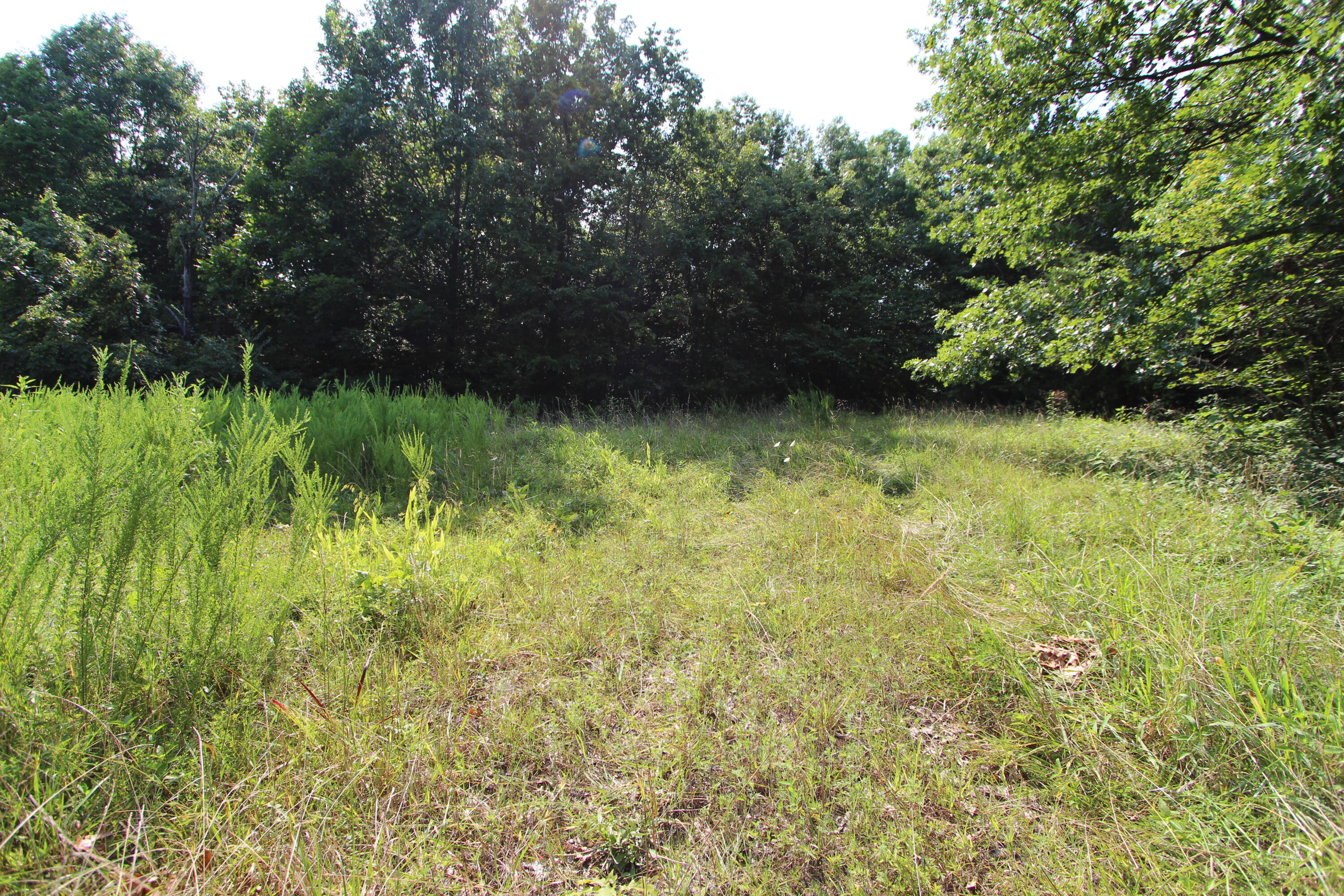 295 Saint Johns Road Property Photo 30