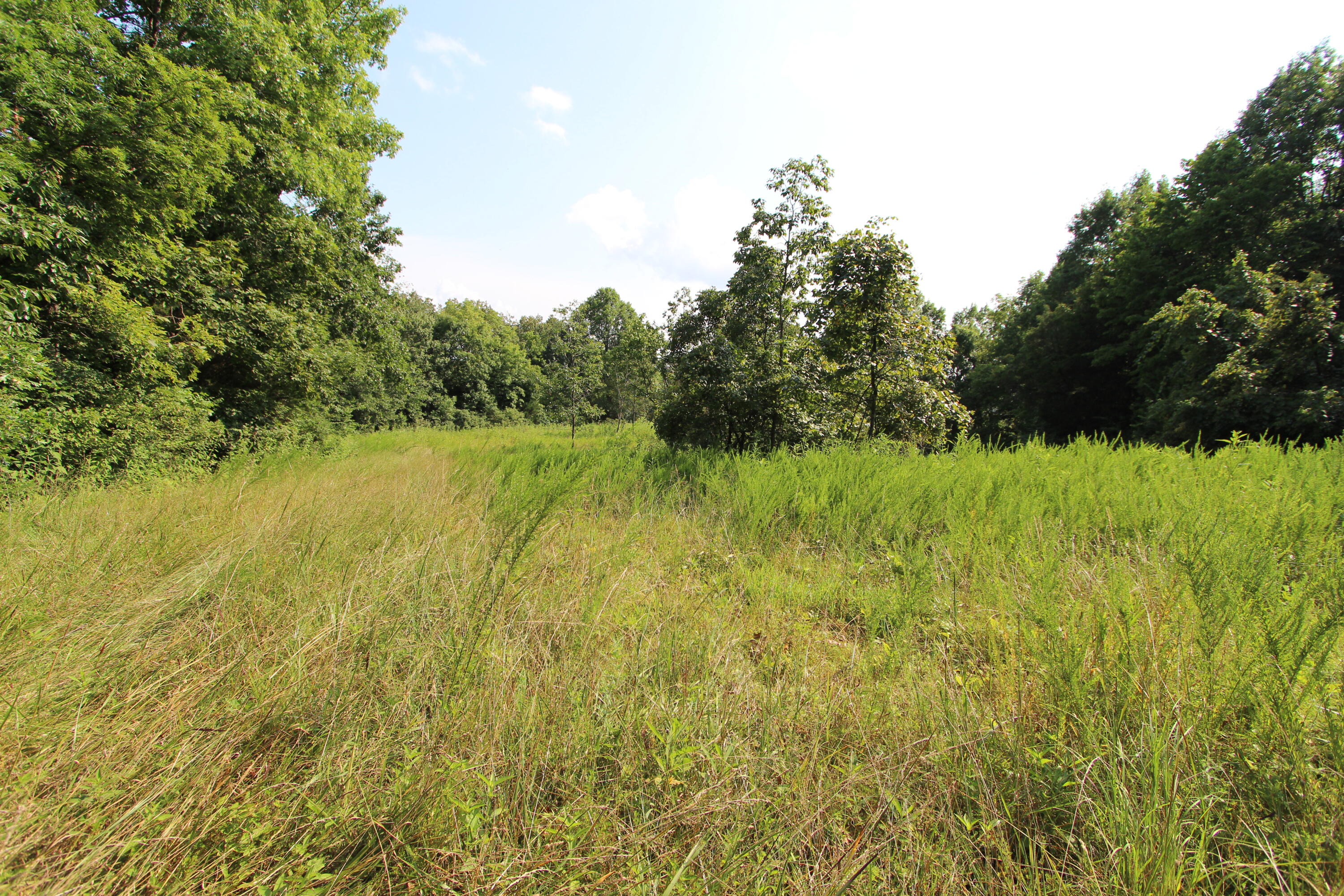295 Saint Johns Road Property Photo 31