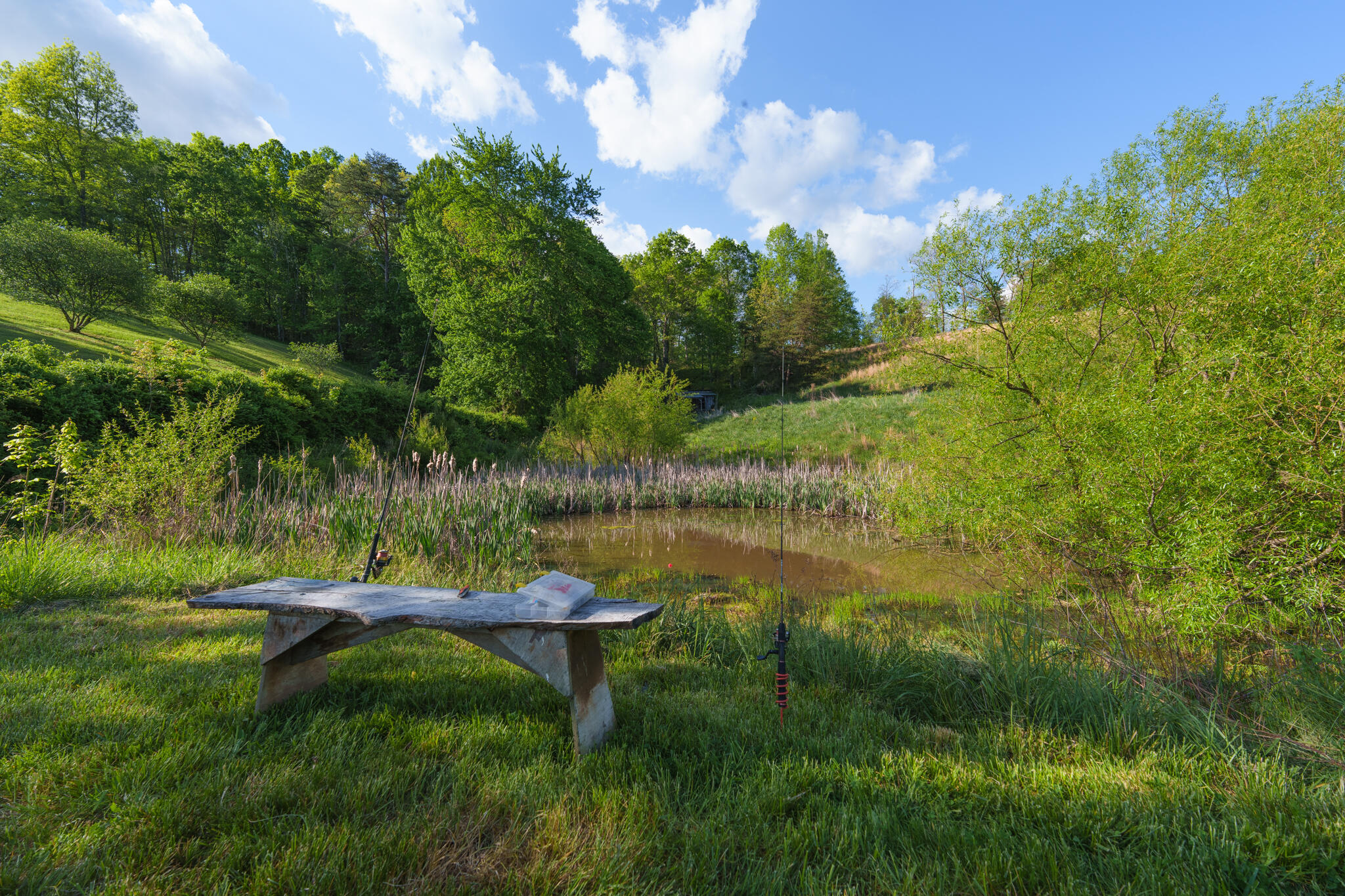 8228 Highway 705 Property Photo 4