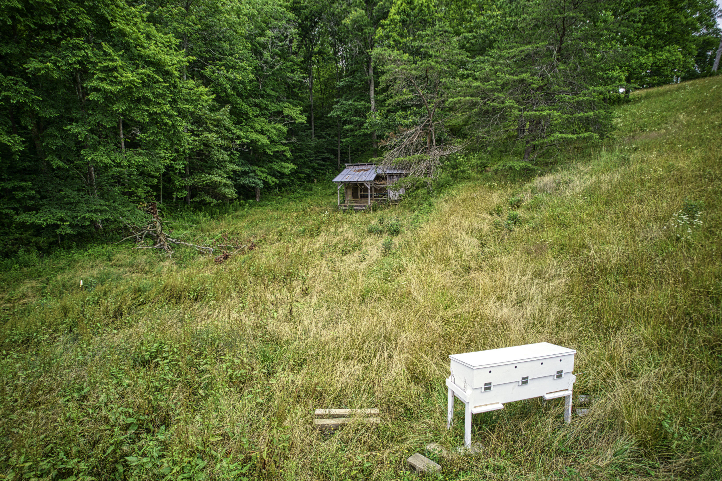 8228 Highway 705 Property Photo 25