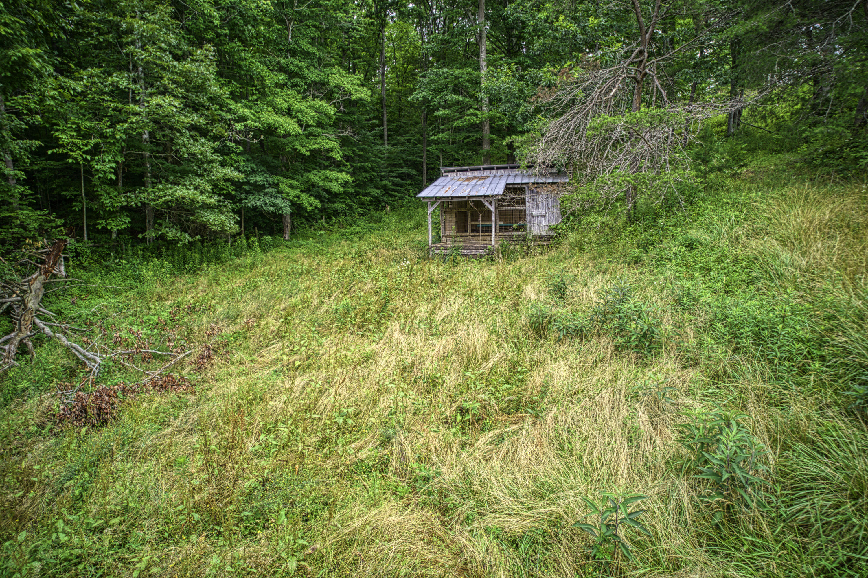 8228 Highway 705 Property Photo 28