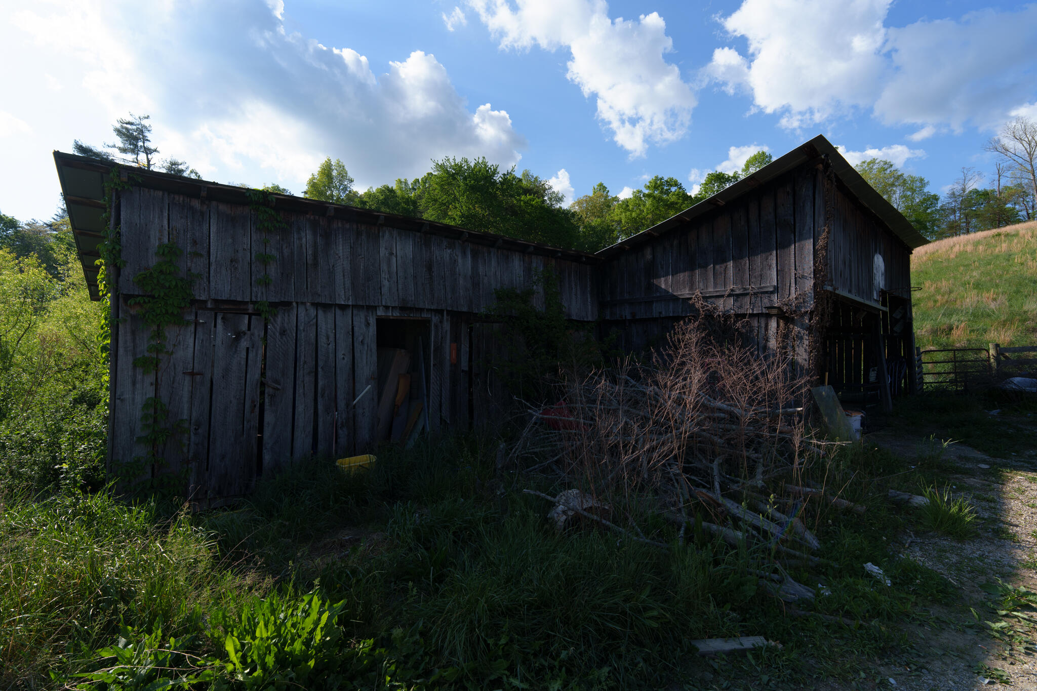 8228 Highway 705 Property Photo 35