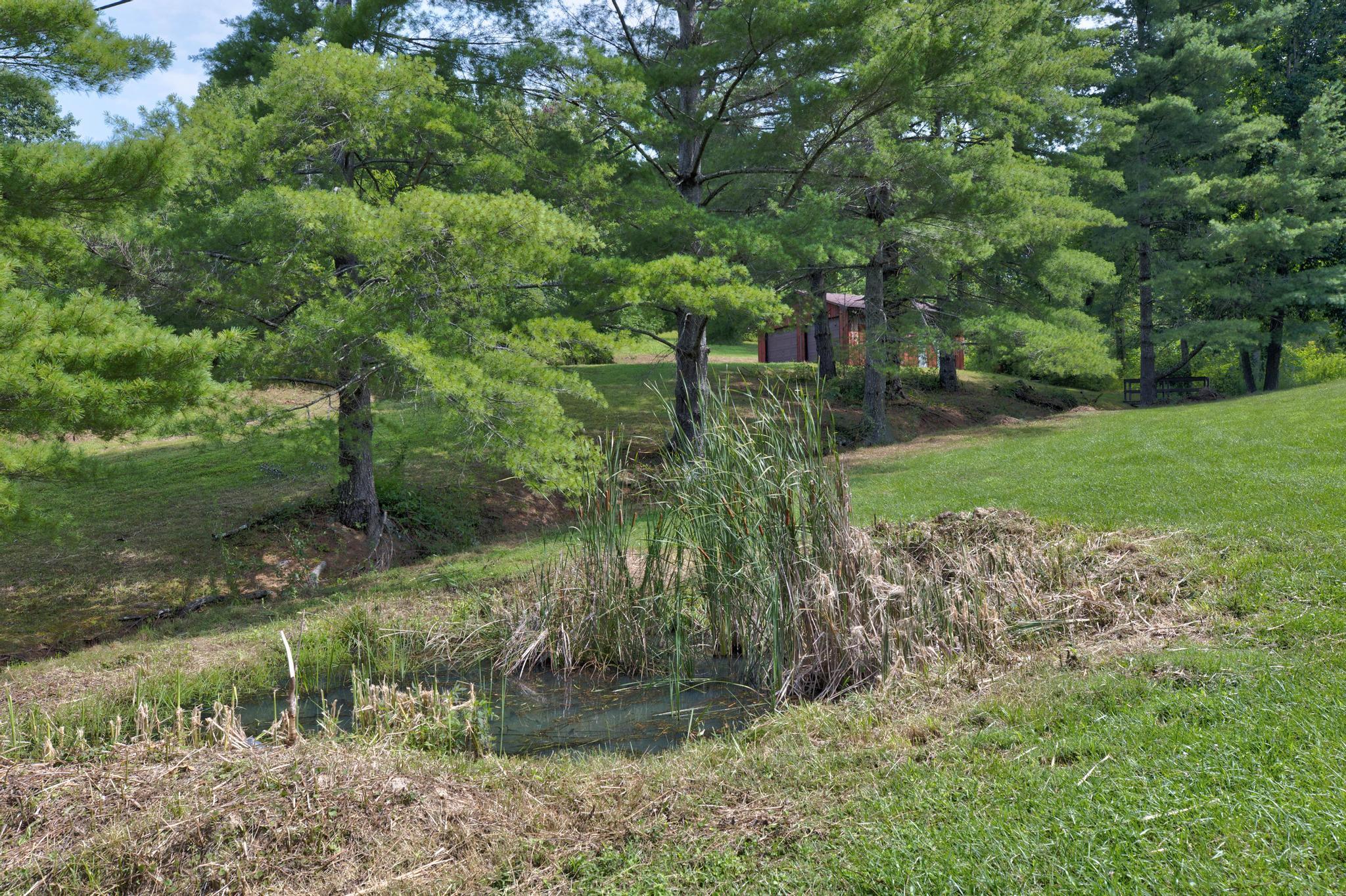 3425 Ky-986 Property Photo 45