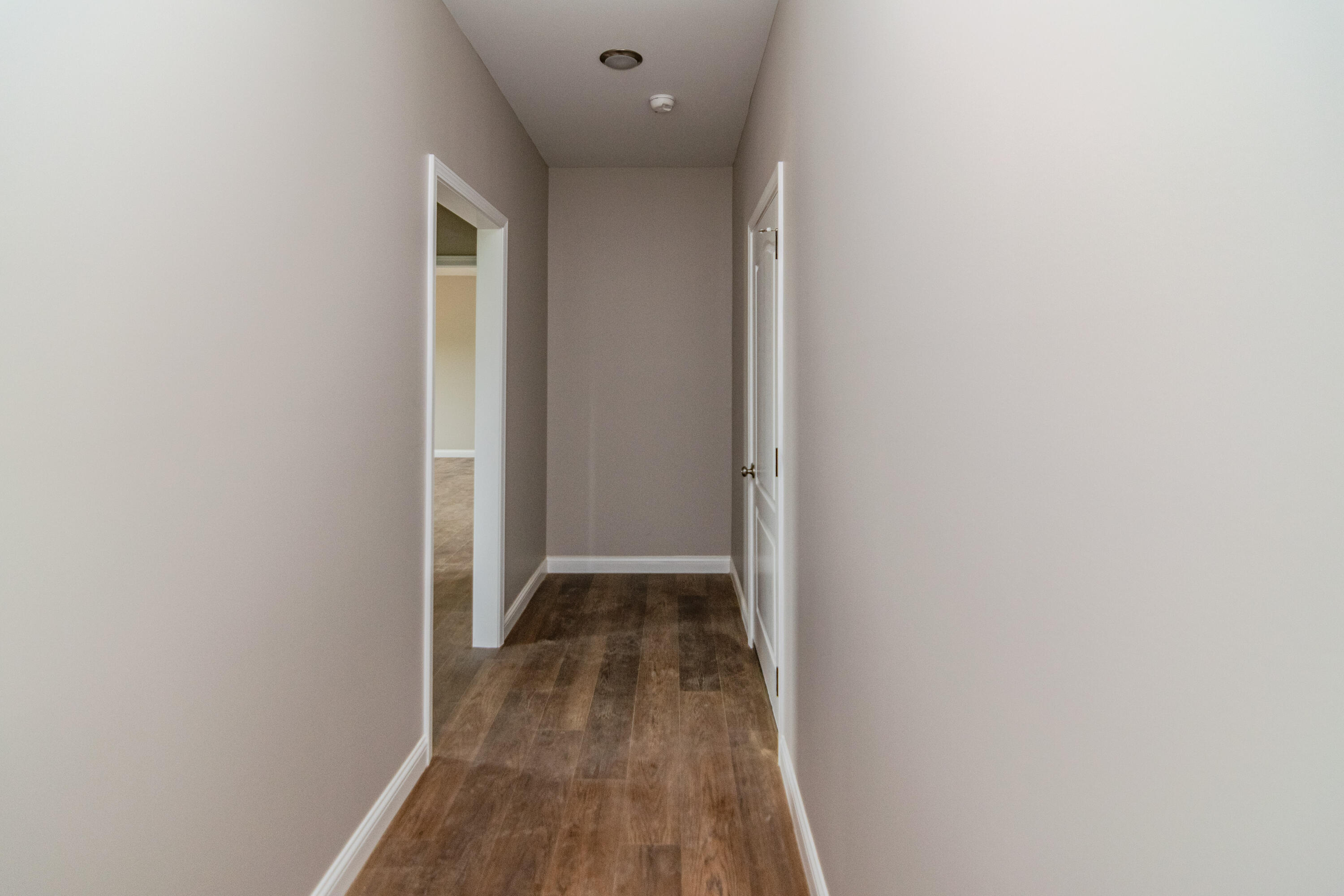251 Boones Creek Road Property Photo 30