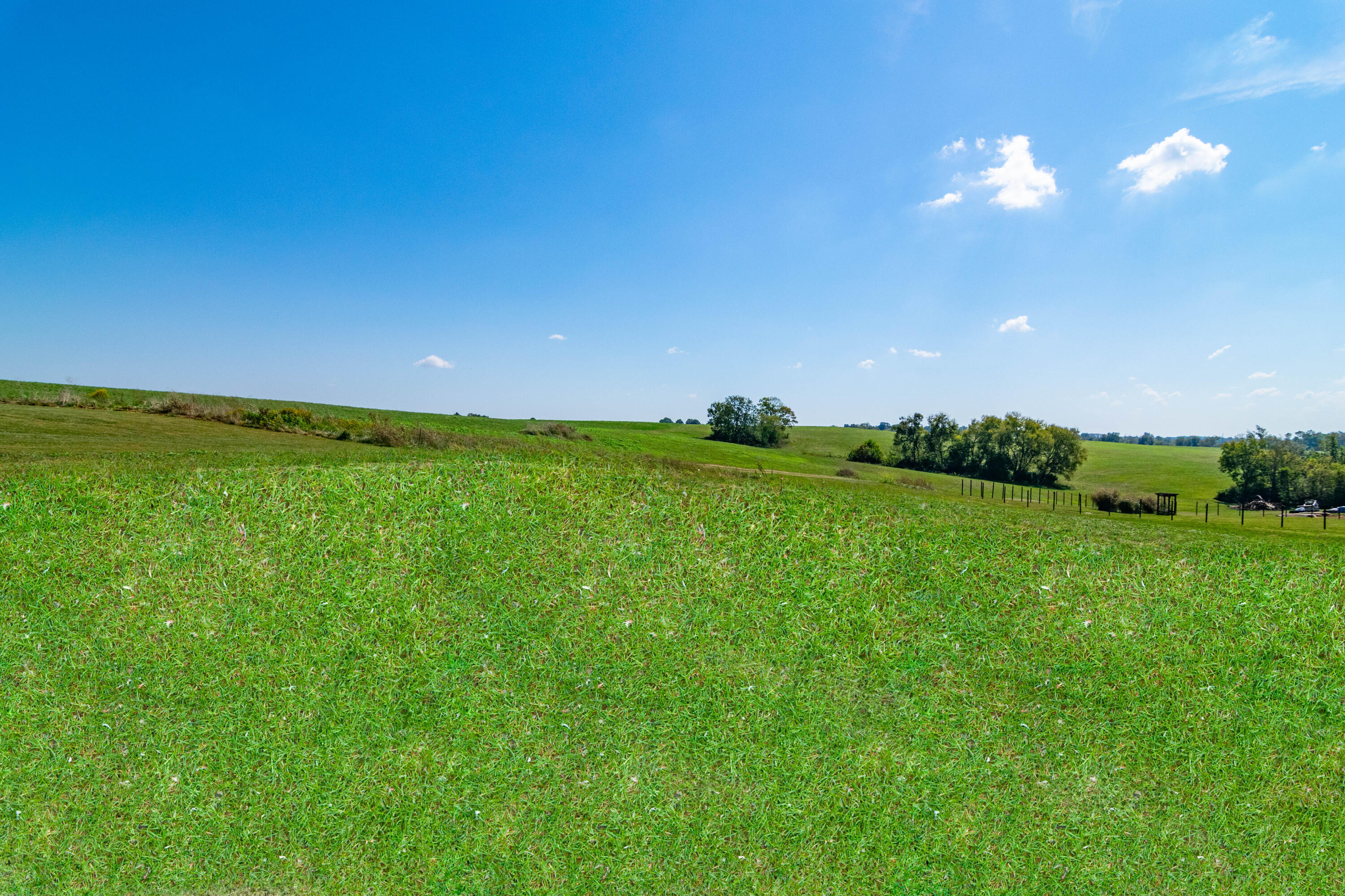 251 Boones Creek Road Property Photo 32