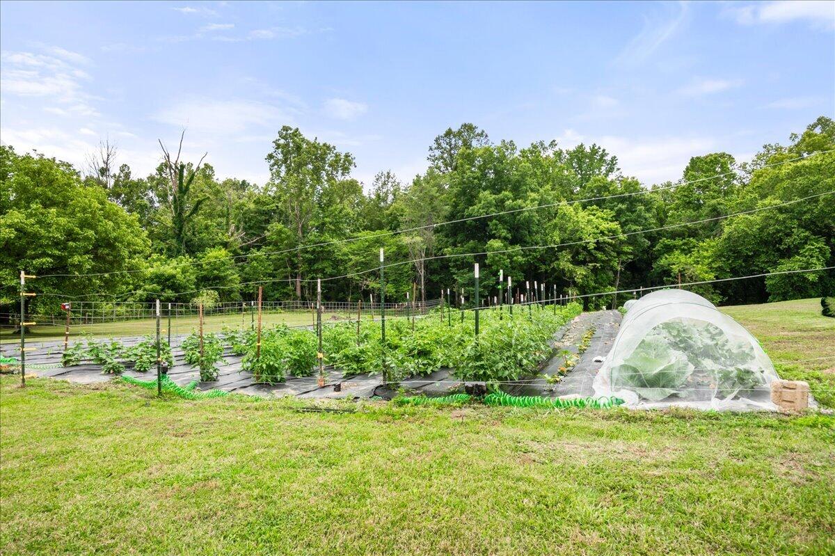 6985 Old Mountain Ash Pike Property Photo 64