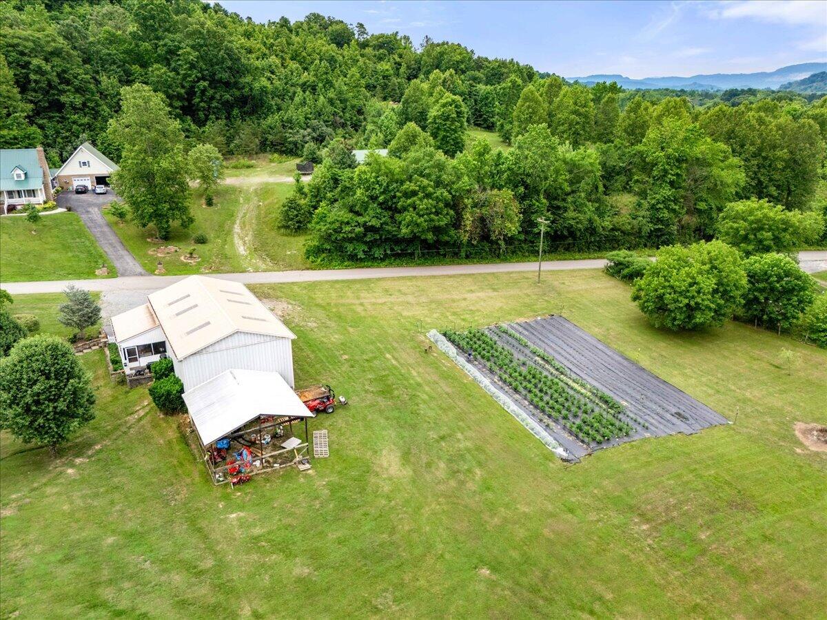 6985 Old Mountain Ash Pike Property Photo 83