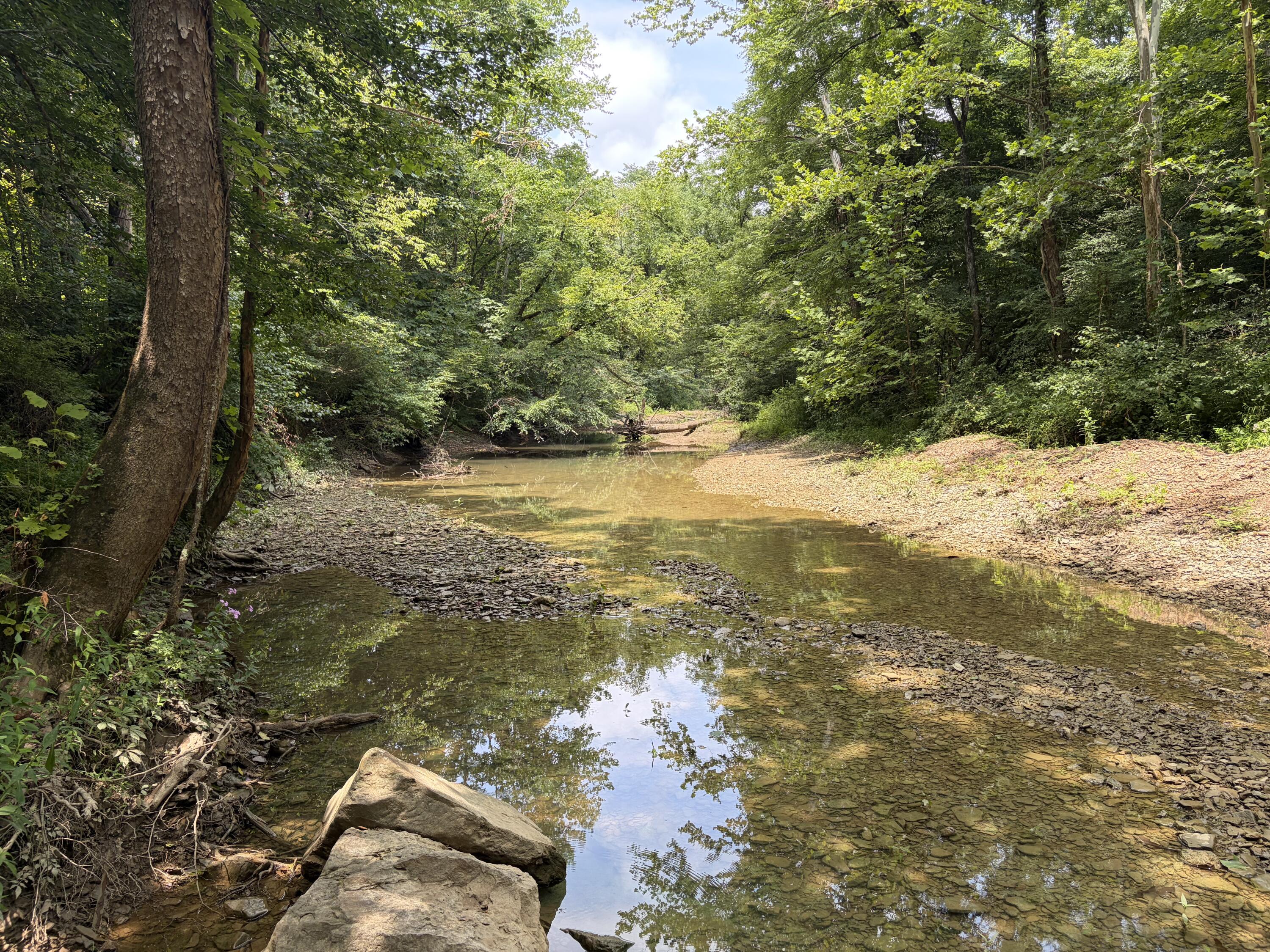 399 Whitaker Cemetery Rd Road Property Photo 1