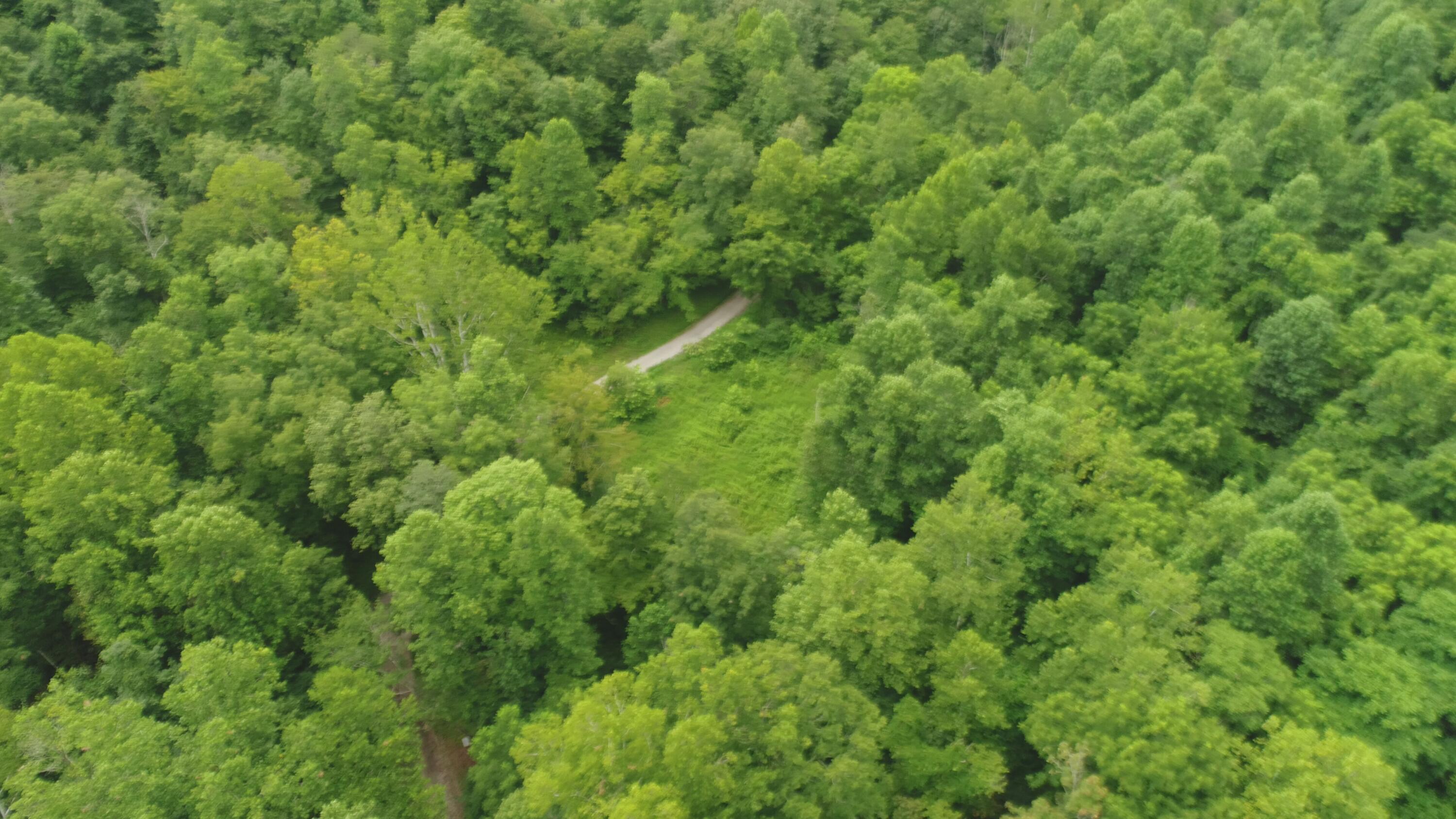 399 Whitaker Cemetery Rd Road Property Photo 6