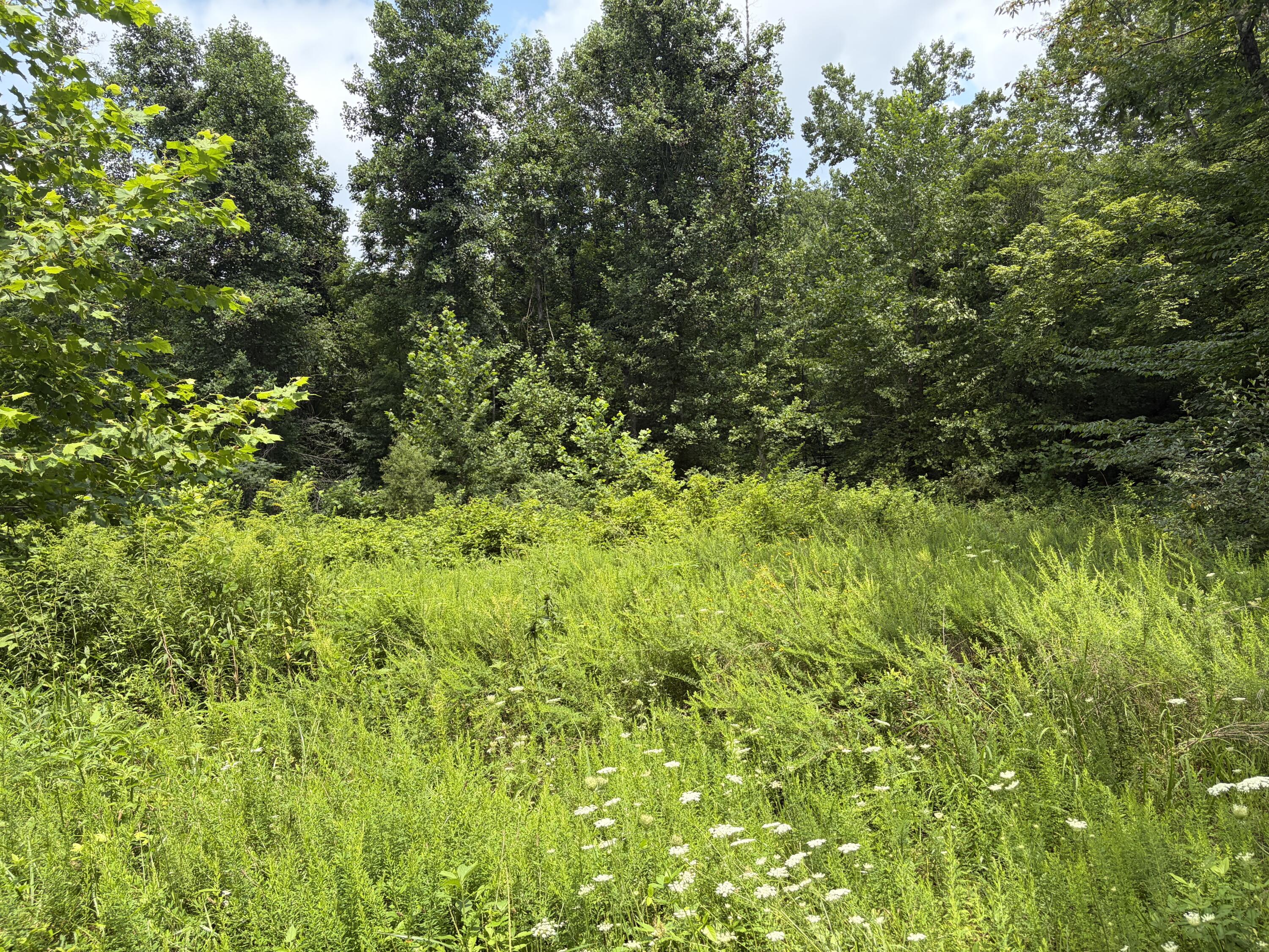 399 Whitaker Cemetery Rd Road Property Photo 14