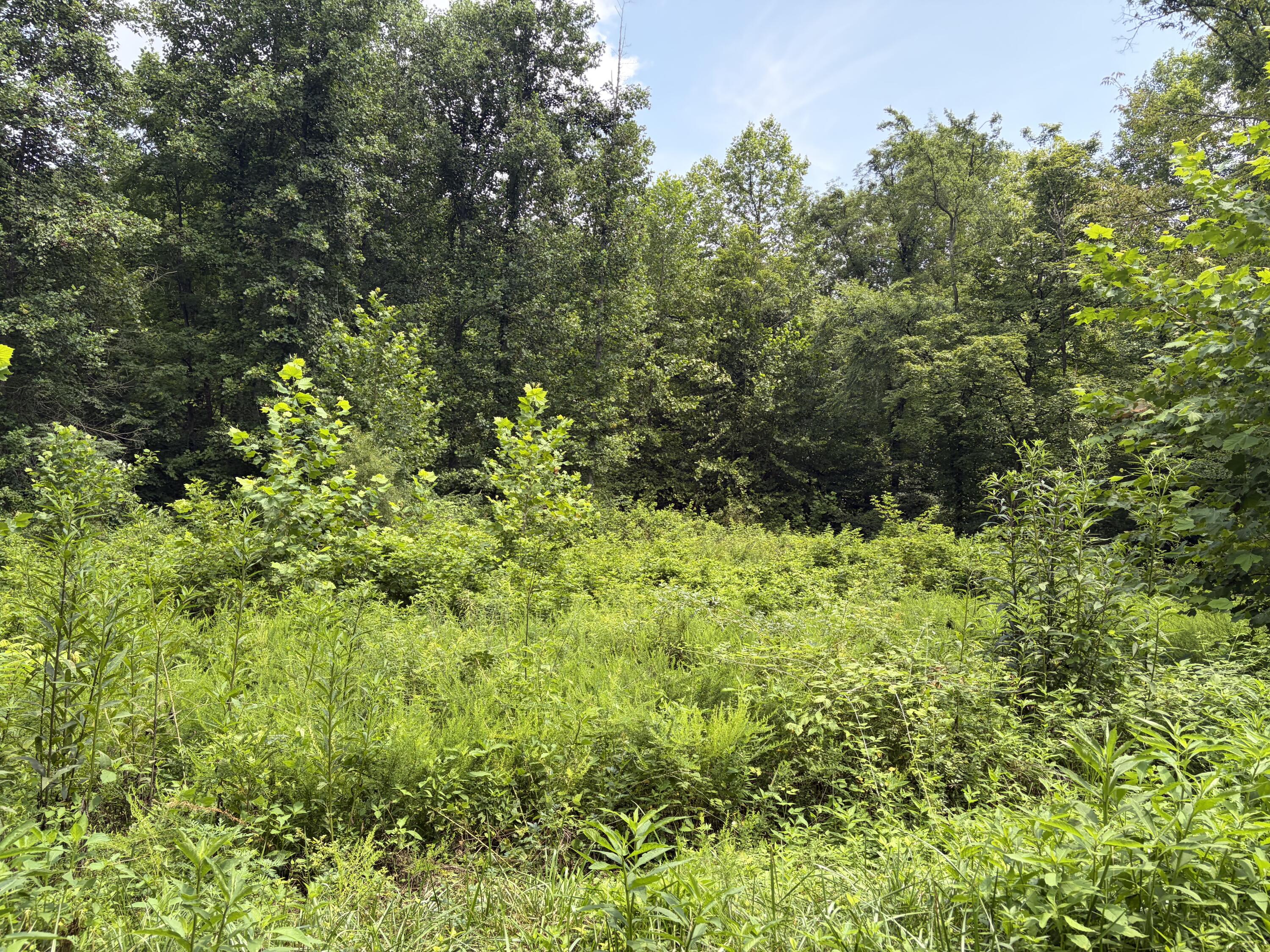 399 Whitaker Cemetery Rd Road Property Photo 15