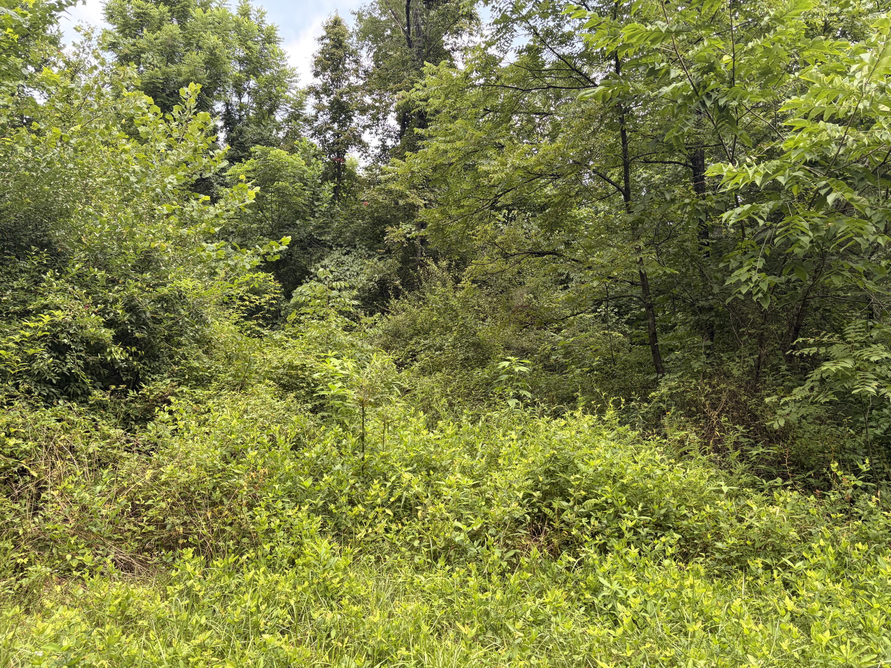 399 Whitaker Cemetery Rd Road Property Photo 16