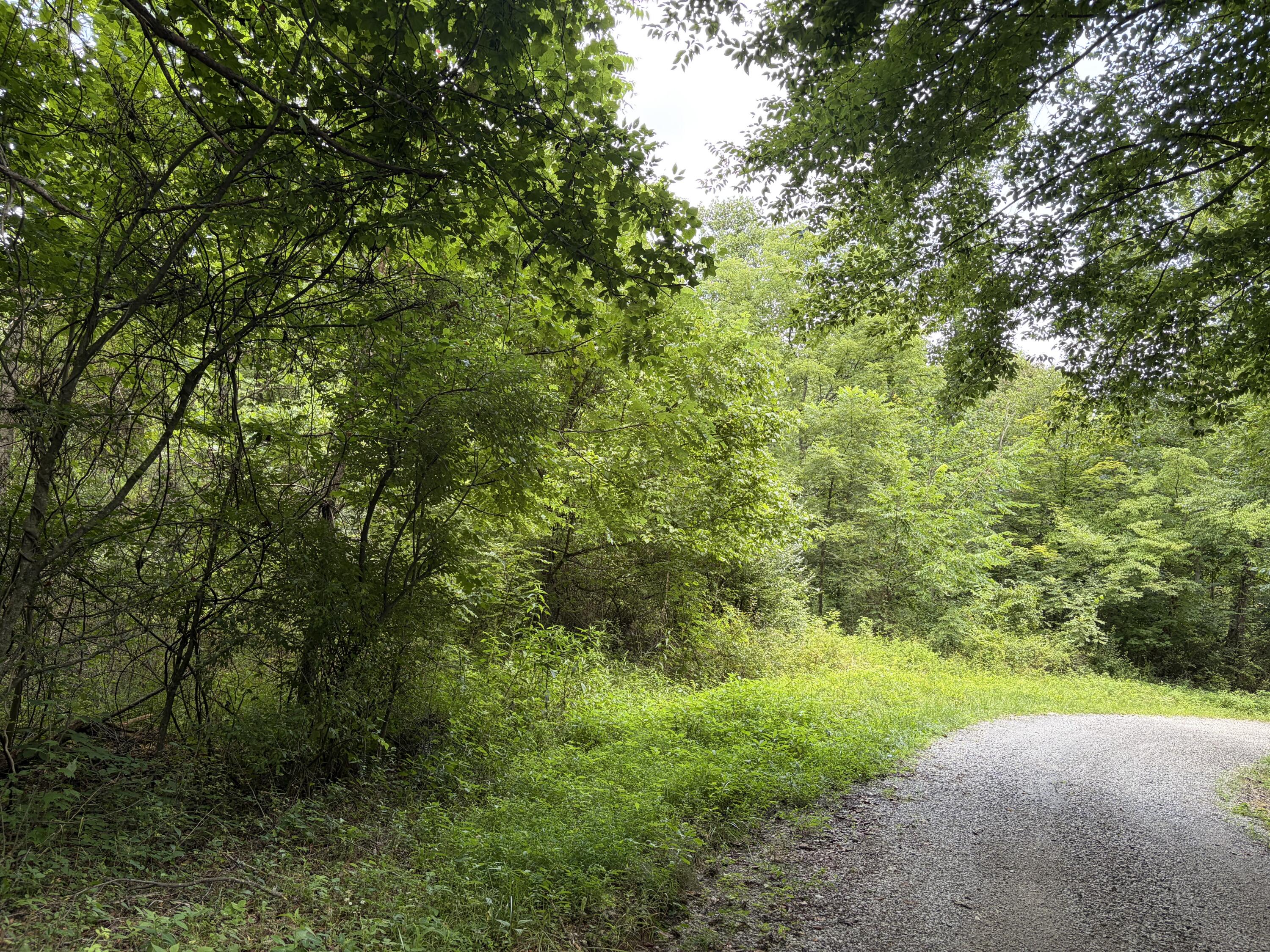 399 Whitaker Cemetery Rd Road Property Photo 17