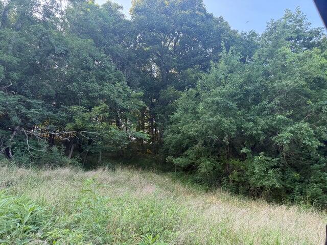 0 Renaker-berry Road Property Photo 19