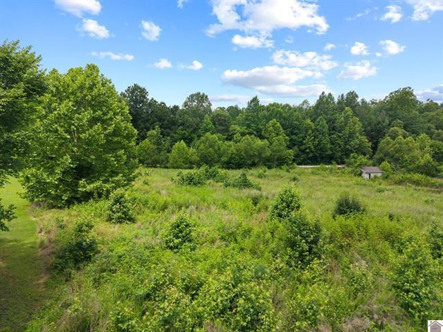 42 Valhalla Lane Property Photo 13