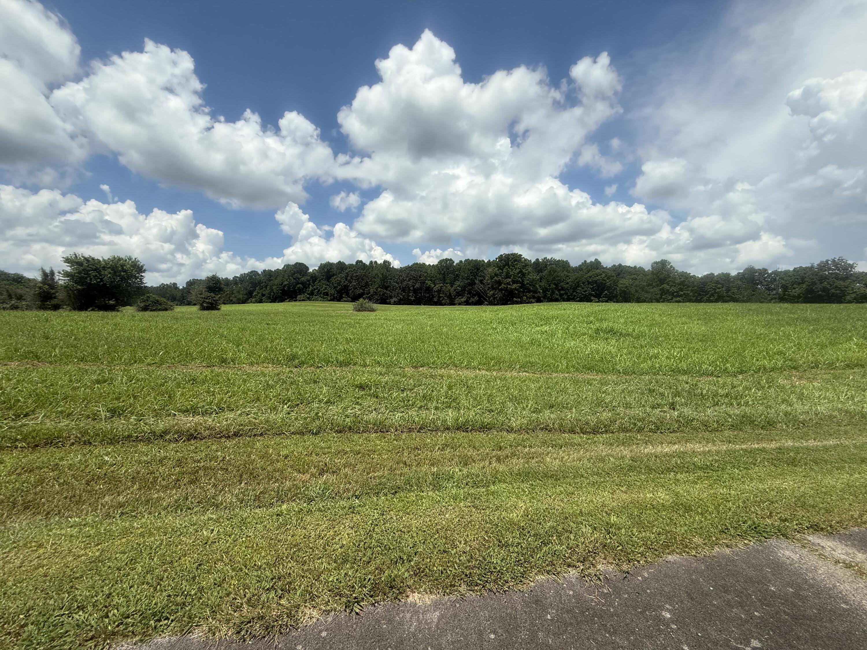 88 Peninsula Boulevard Property Photo 2