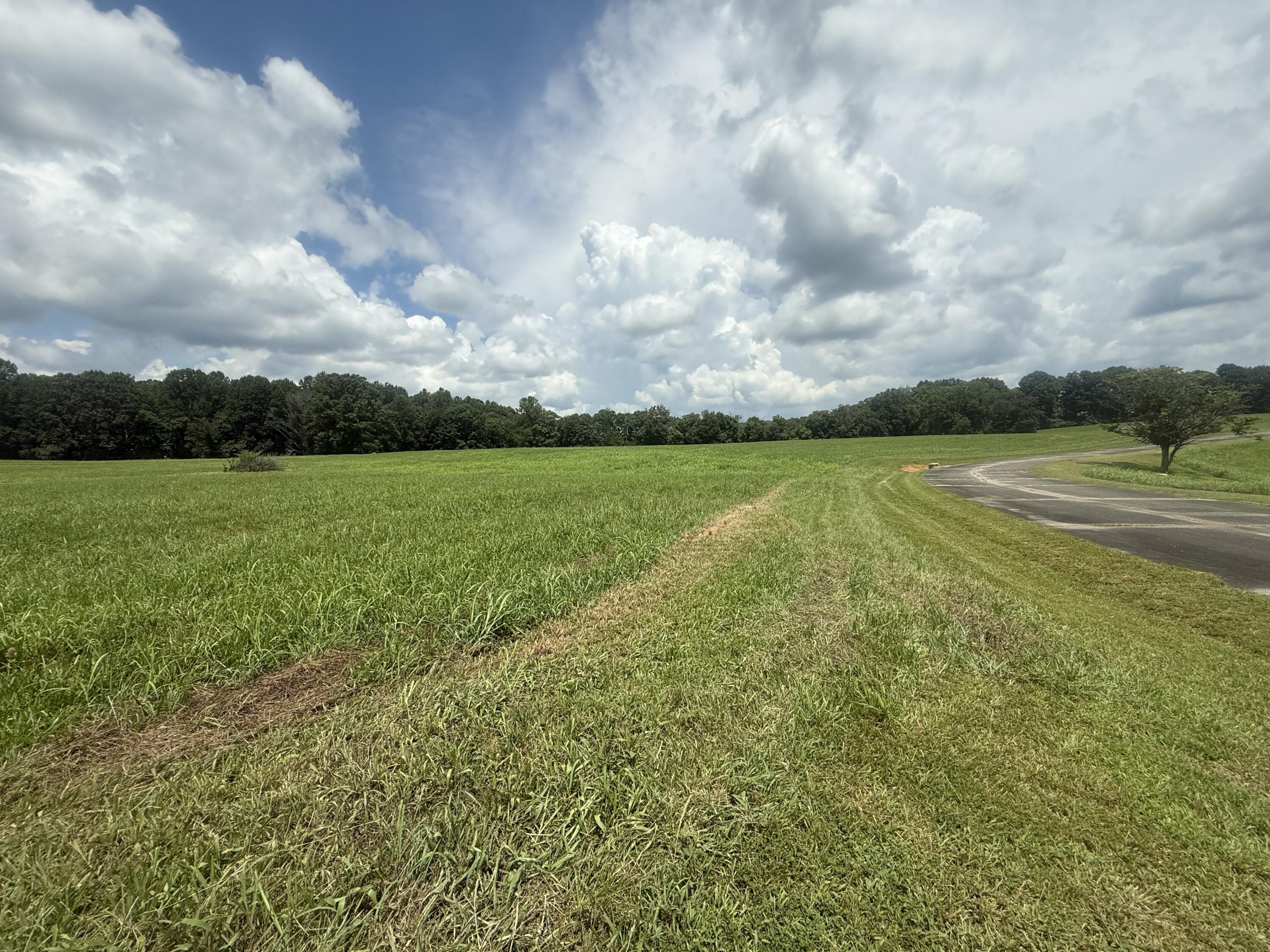 88 Peninsula Boulevard Property Photo 3