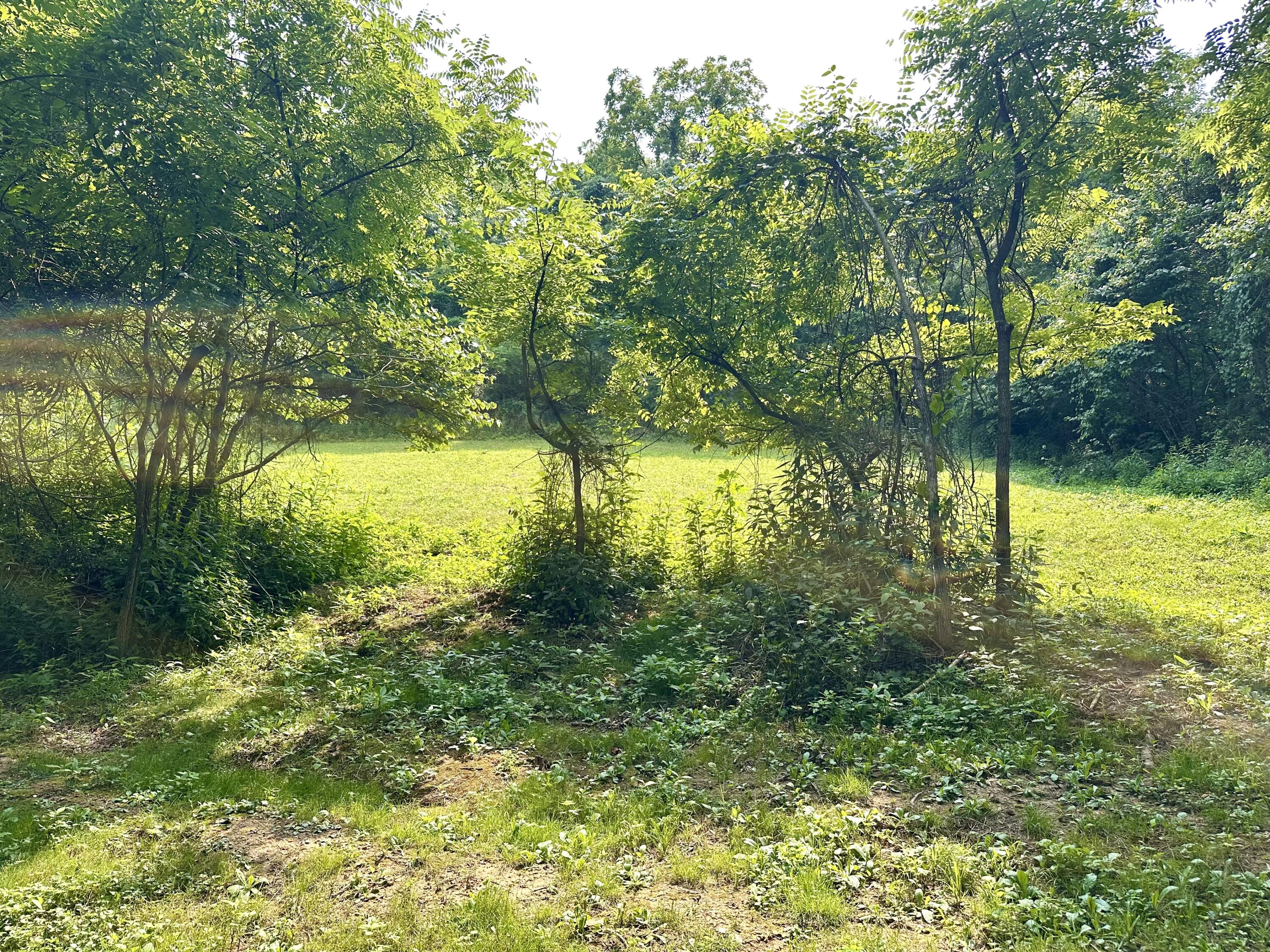 1-a Concord Road Property Photo 3