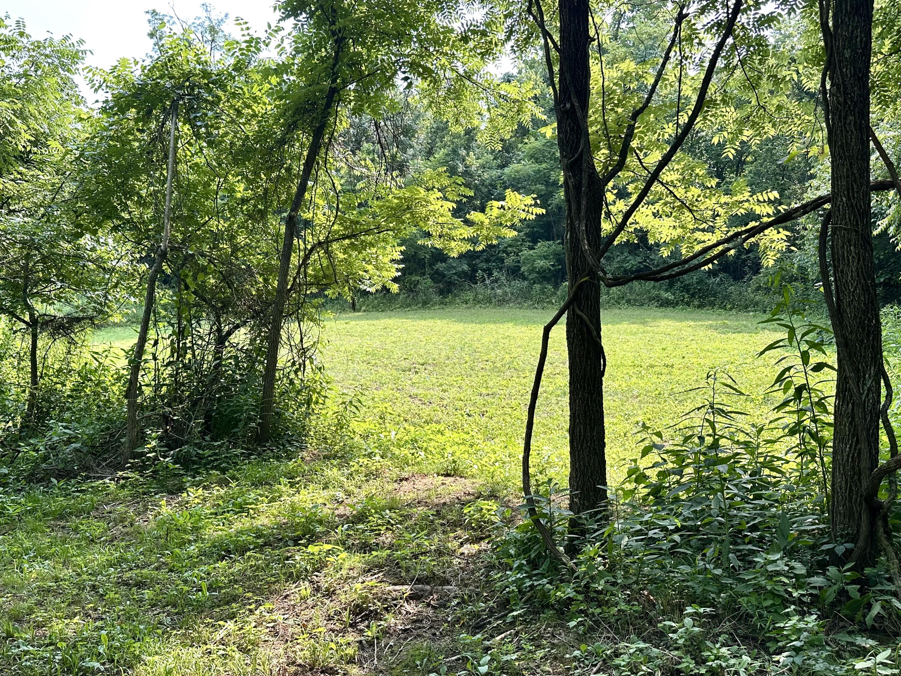 1-a Concord Road Property Photo 4