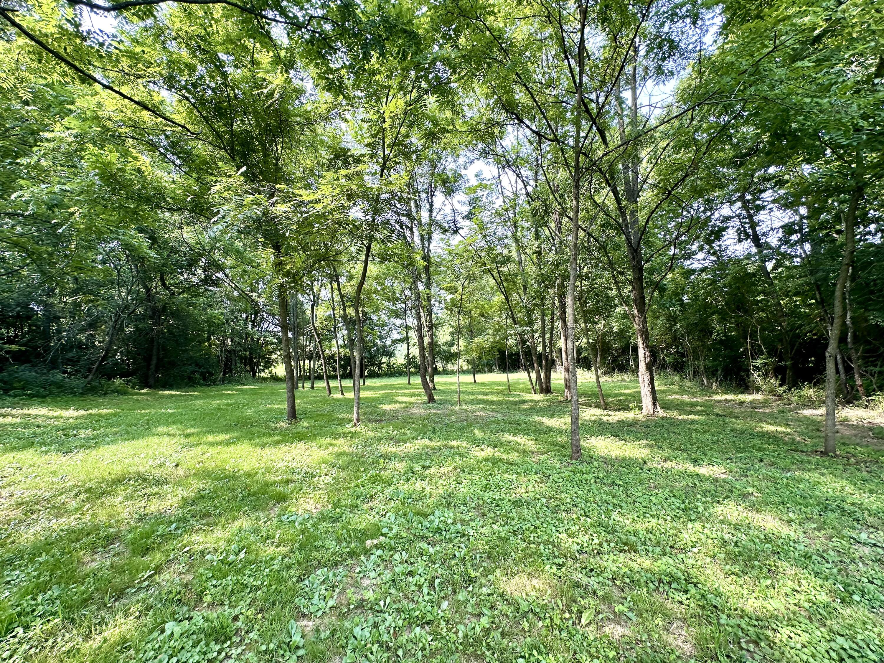 1-a Concord Road Property Photo 7
